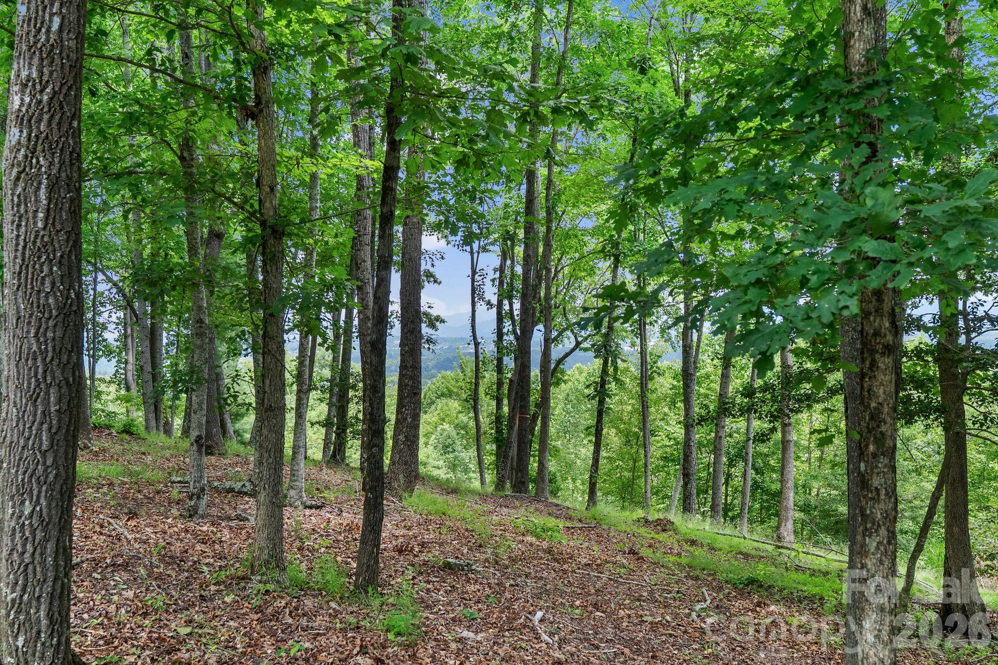120 Split Rock Trail — Arden