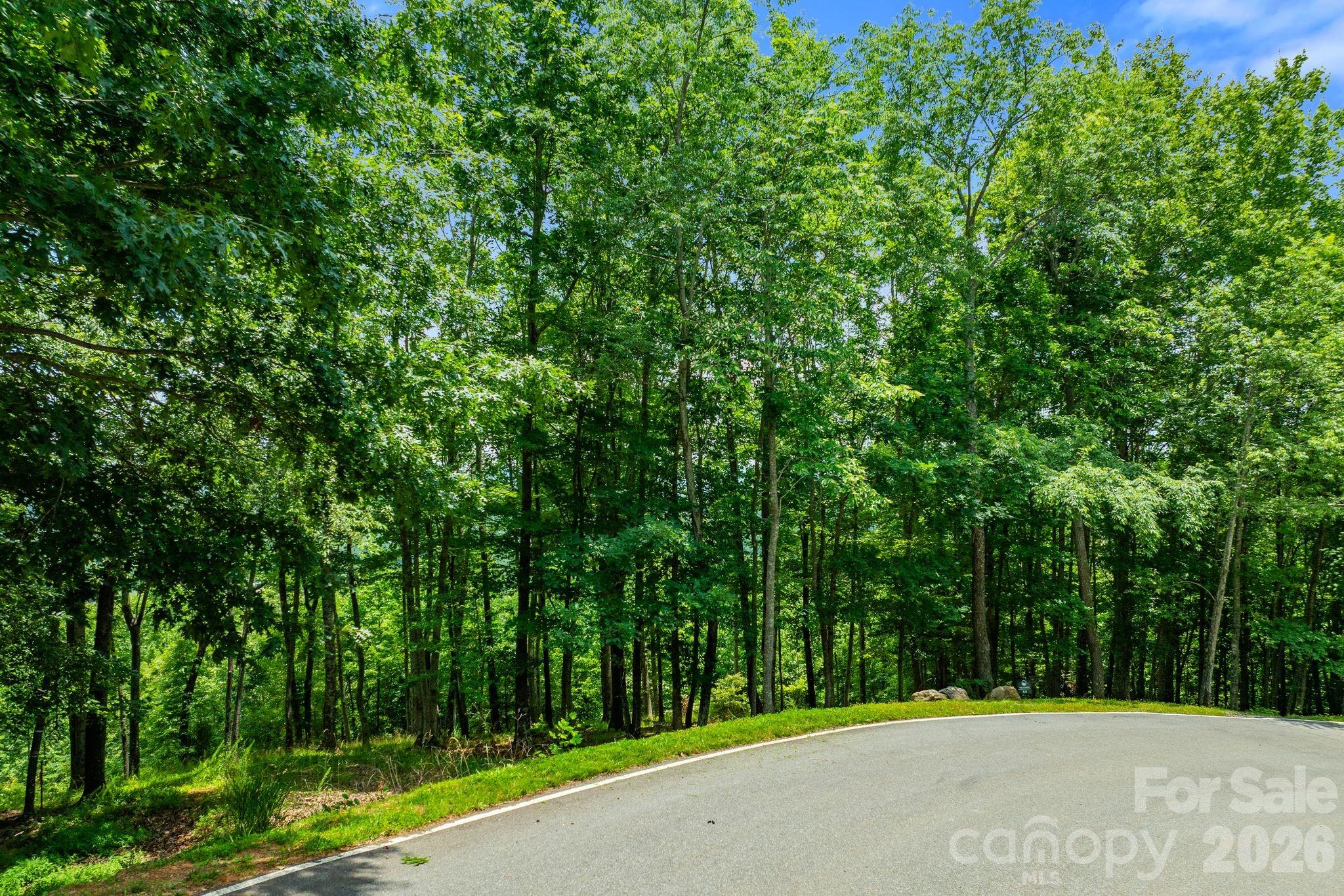 120 Split Rock Trail — Arden