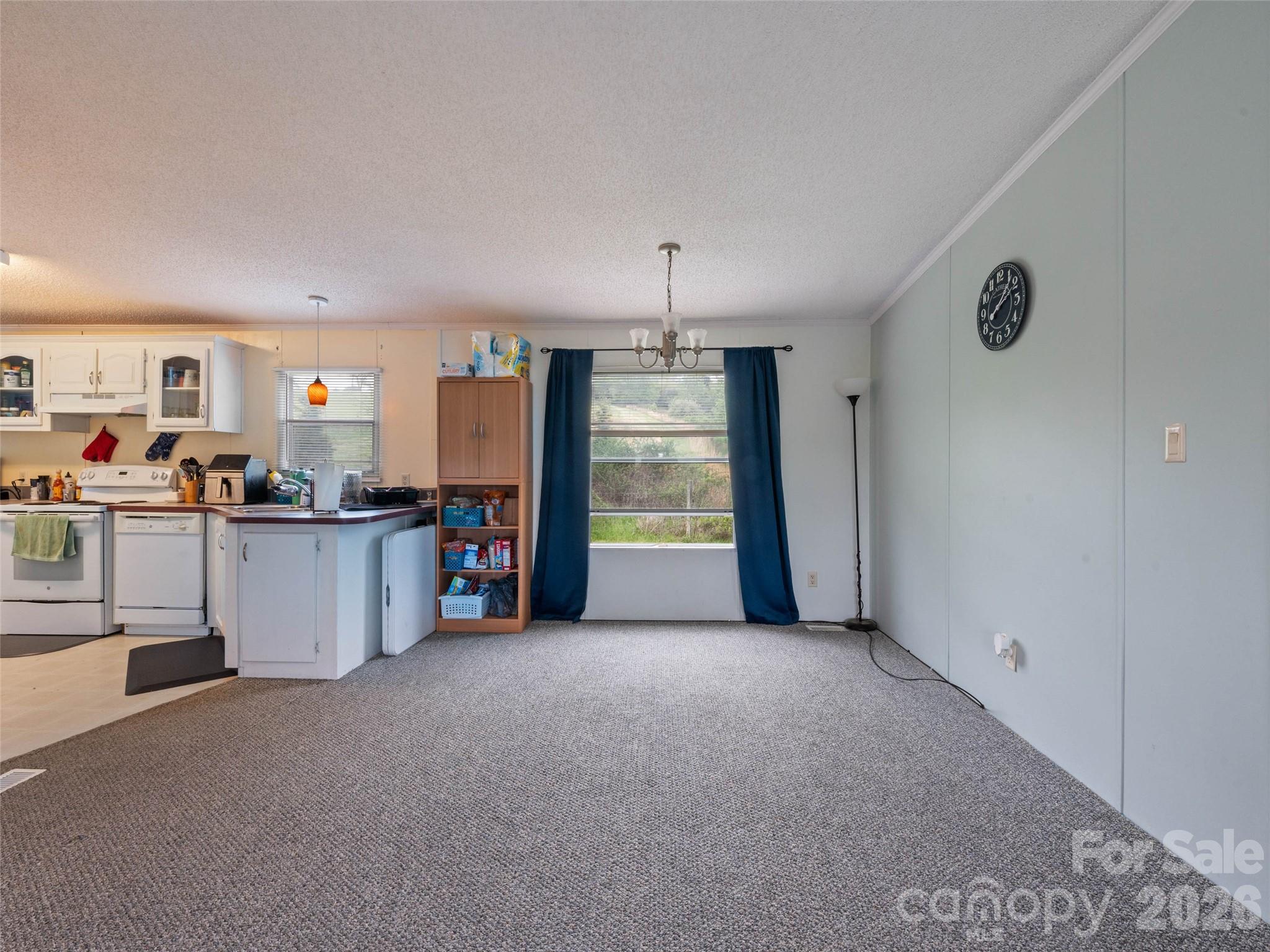 20 & 28 Toby Drive — Asheville
