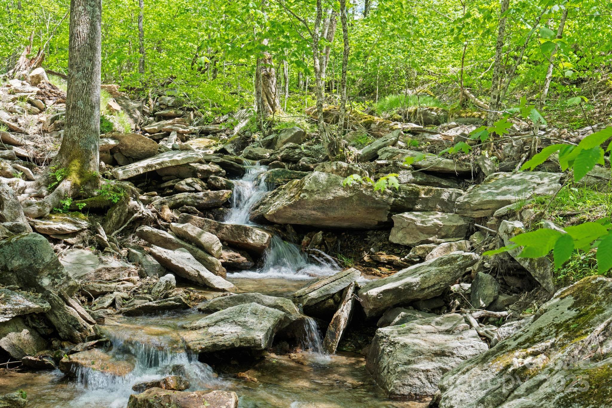 140 Spruce Hollow Road — Beech Mountain