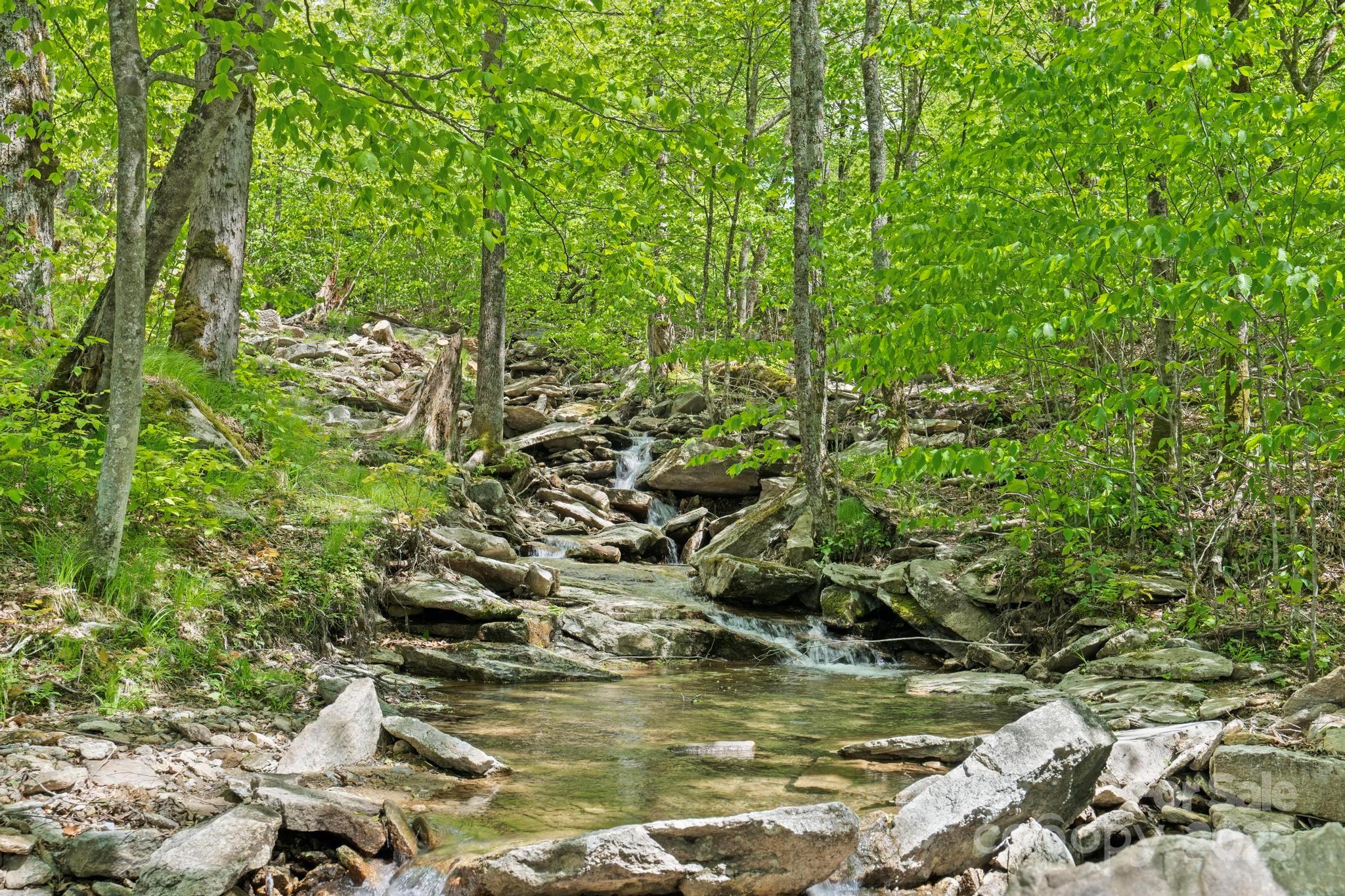 140 Spruce Hollow Road — Beech Mountain