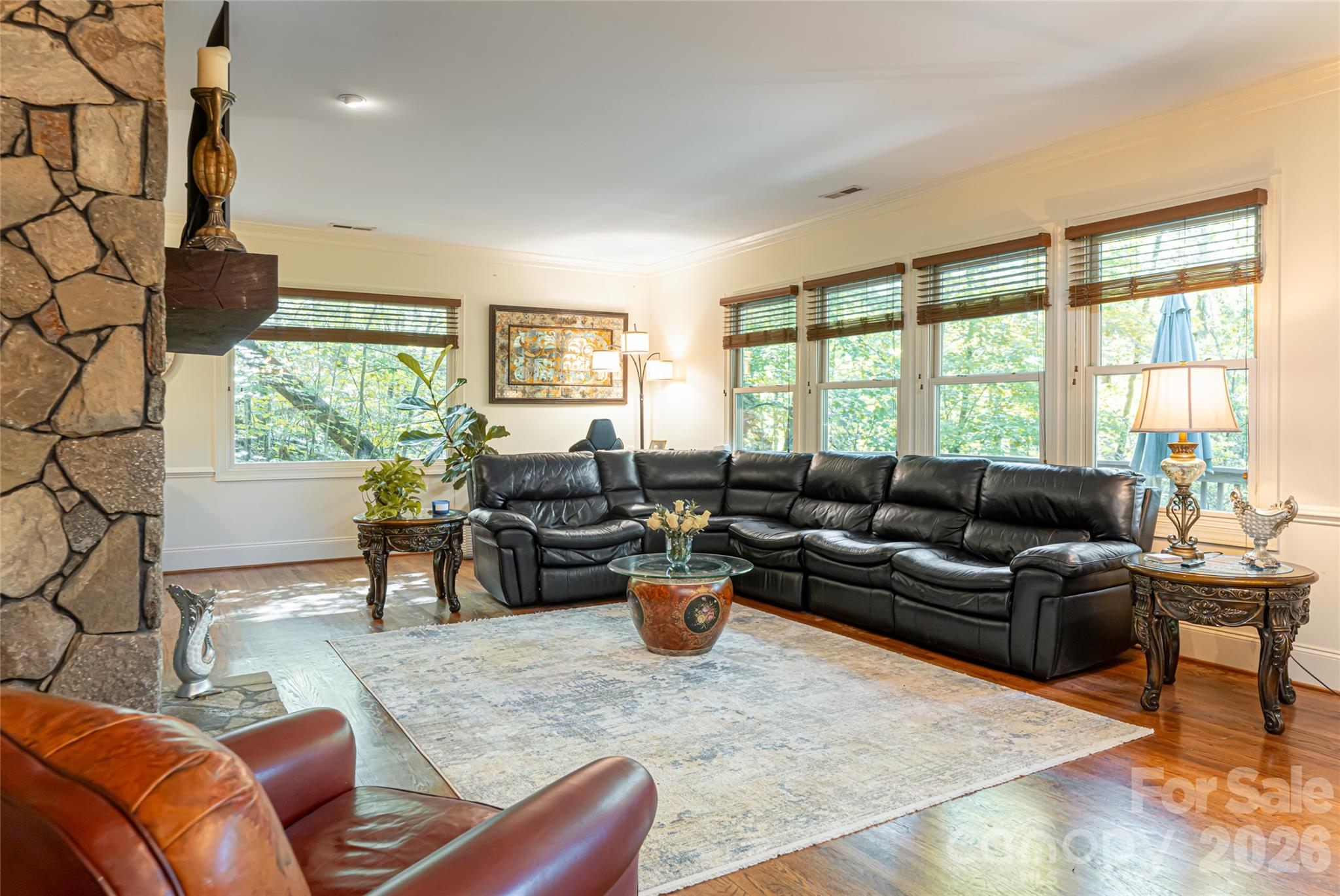 75 Cougar Lane — Saluda