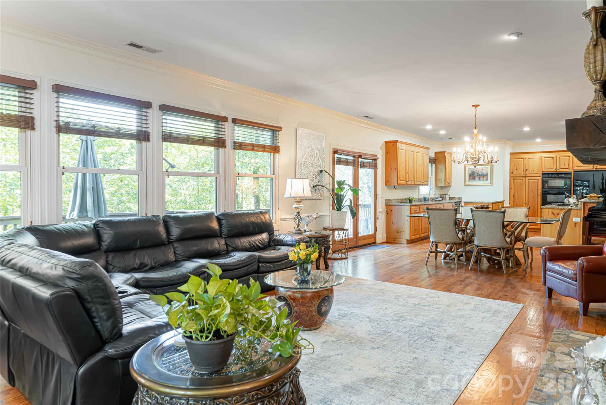 75 Cougar Lane — Saluda