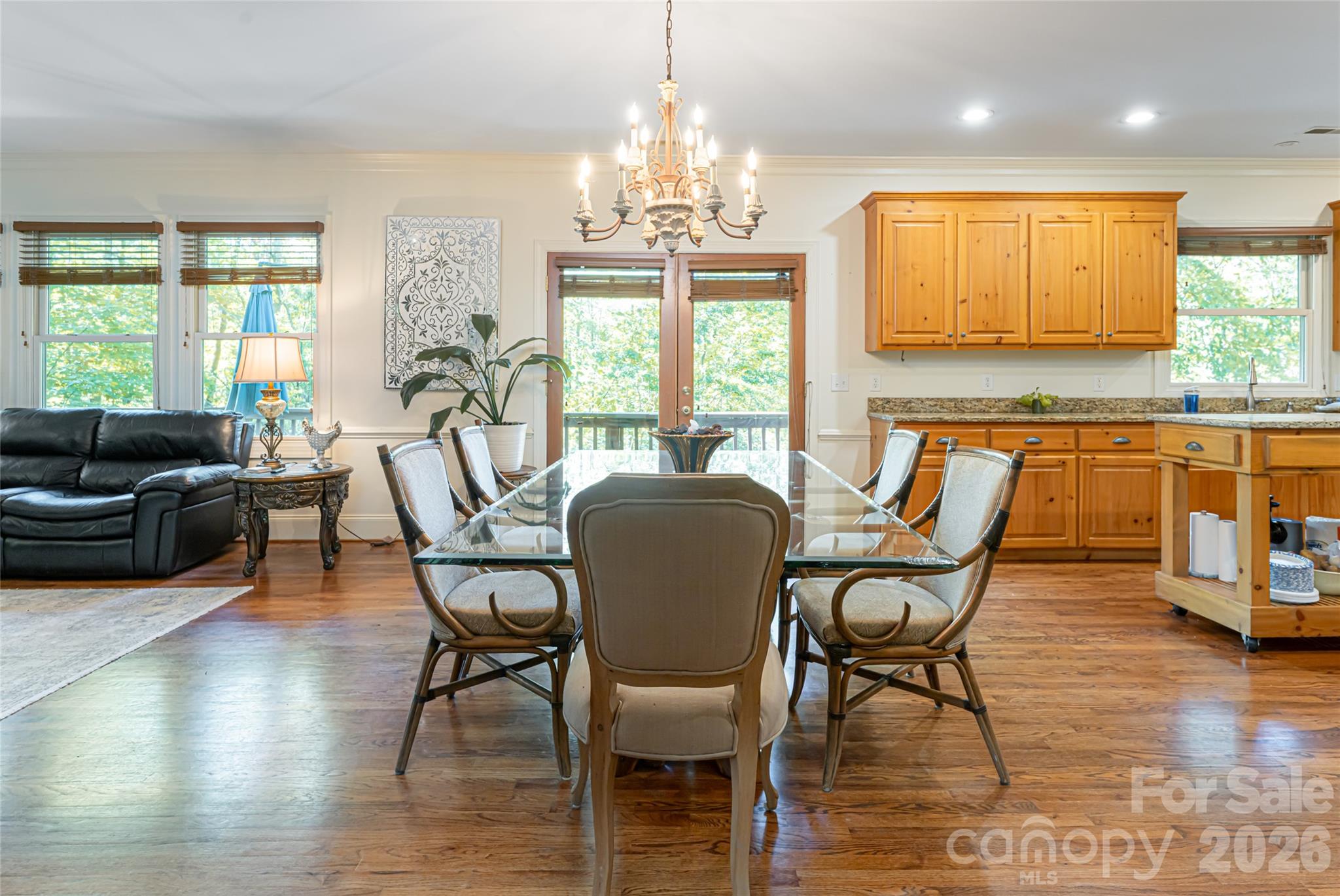 75 Cougar Lane — Saluda