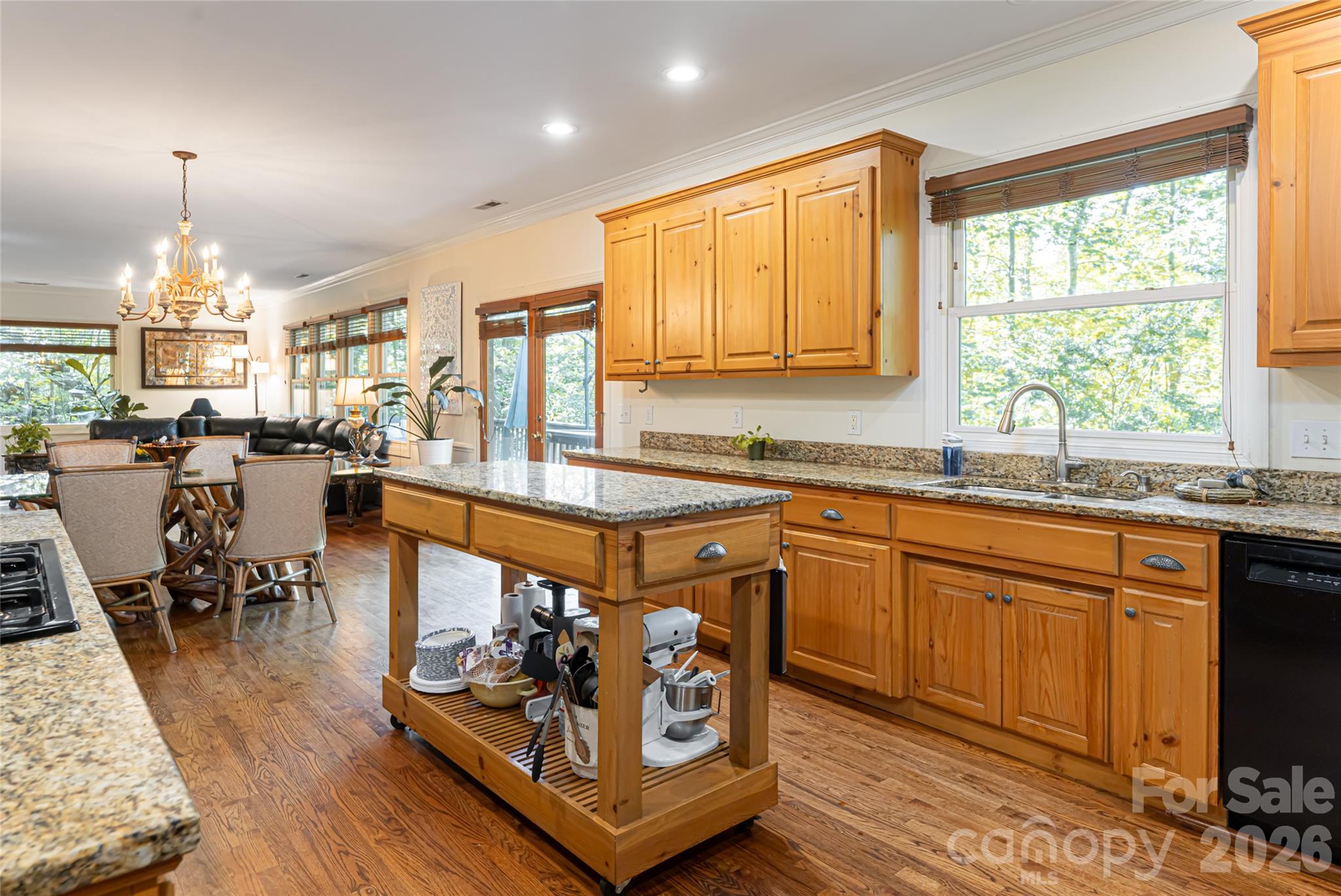75 Cougar Lane — Saluda