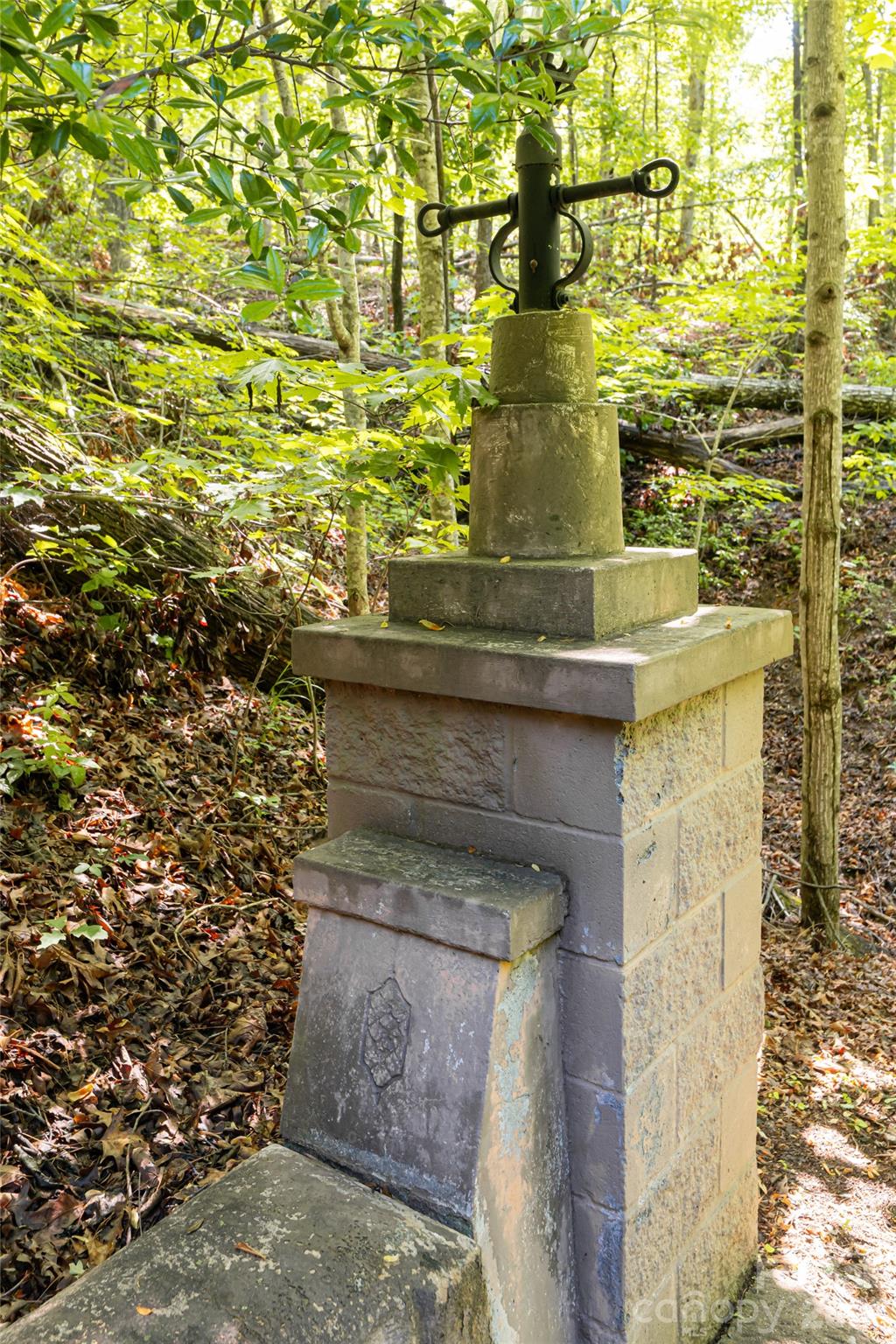 75 Cougar Lane — Saluda