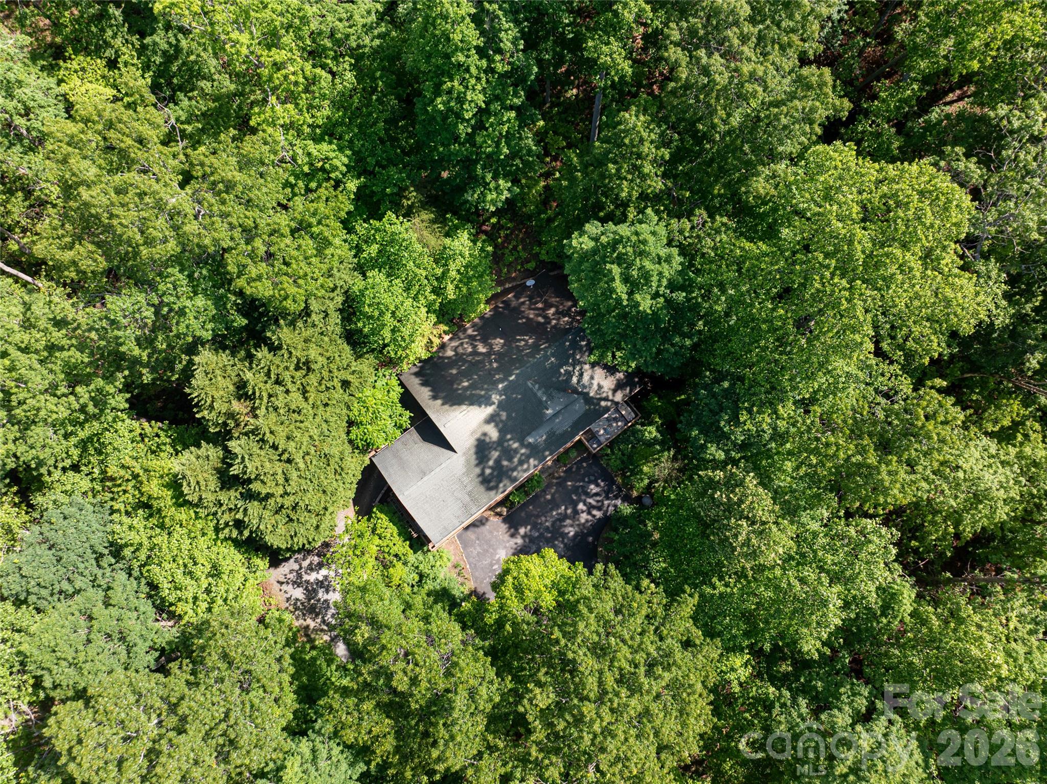 75 Cougar Lane — Saluda
