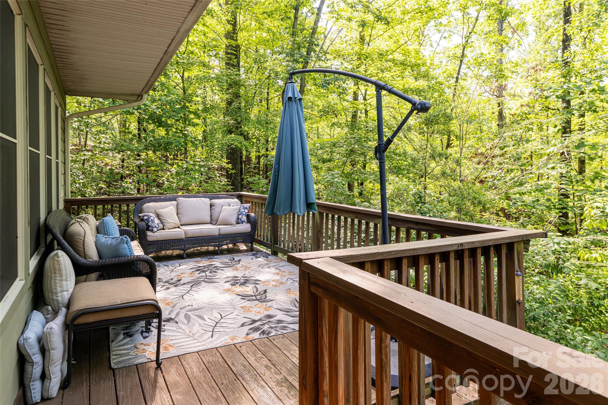 75 Cougar Lane — Saluda