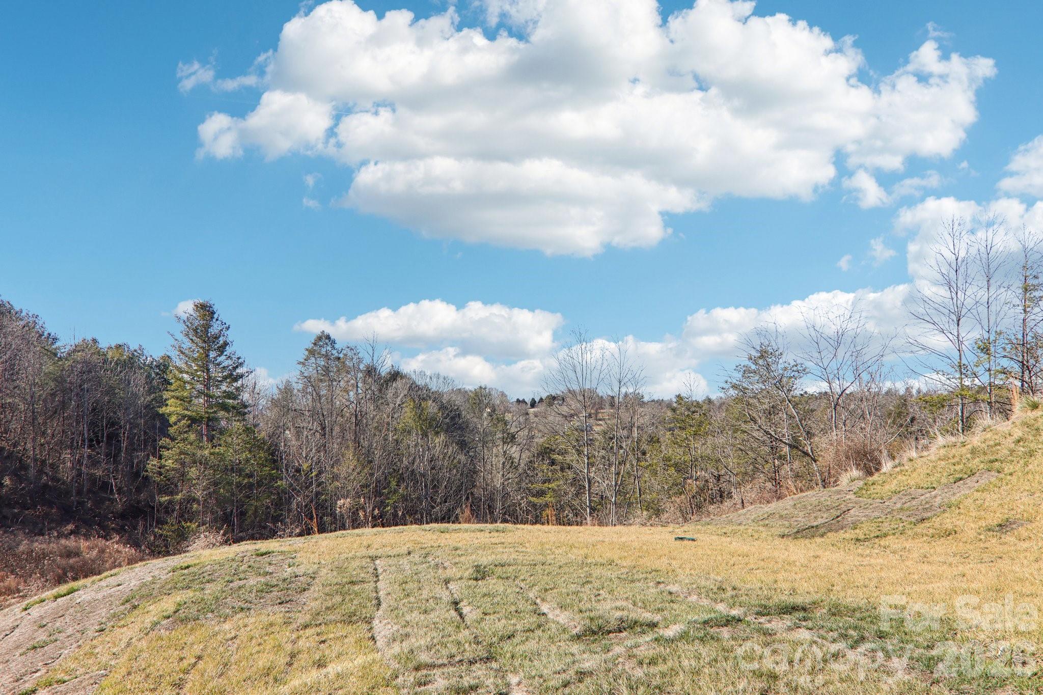 827 Adelston Lane — Asheville