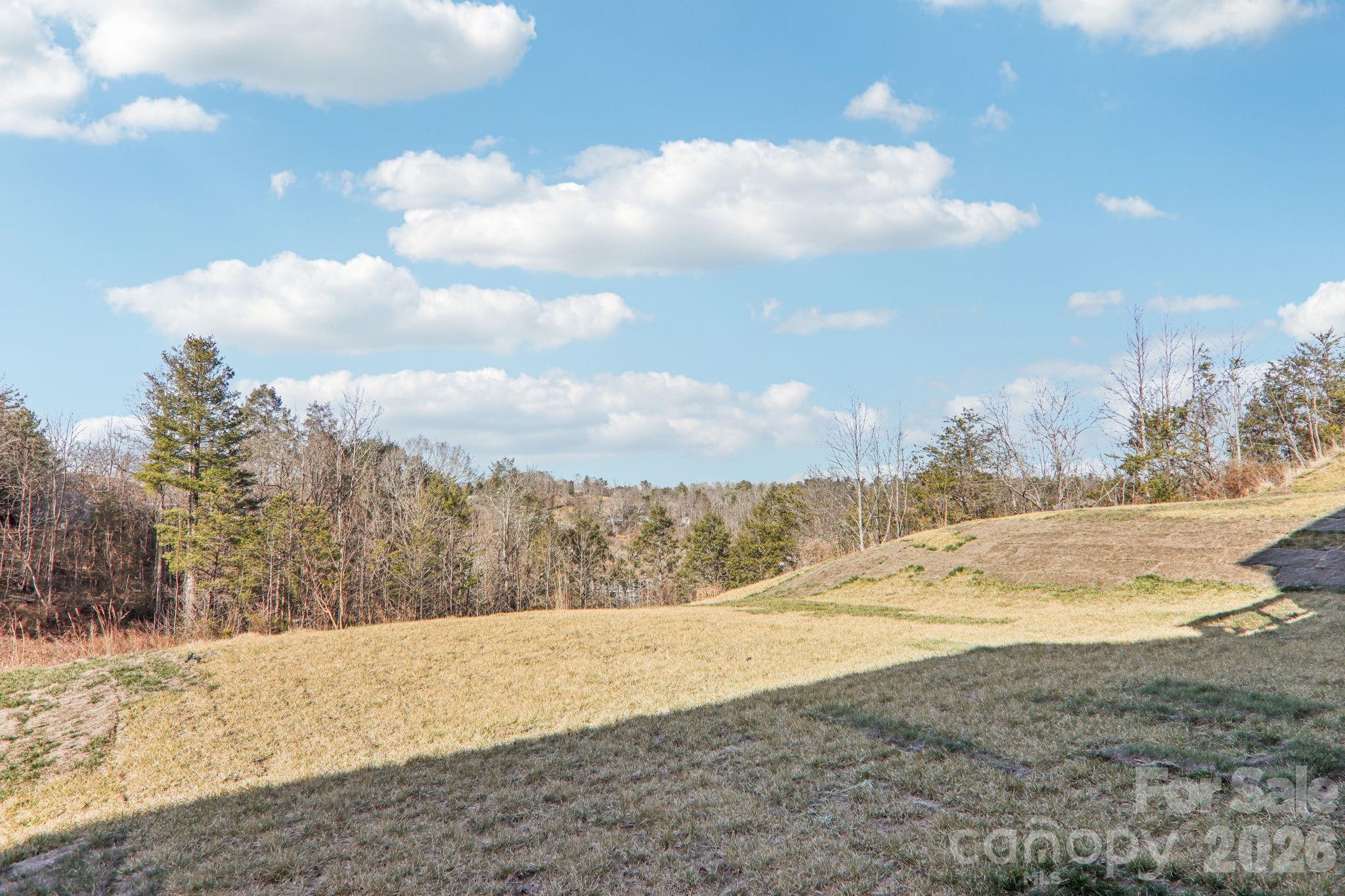 831 Adelston Lane — Asheville