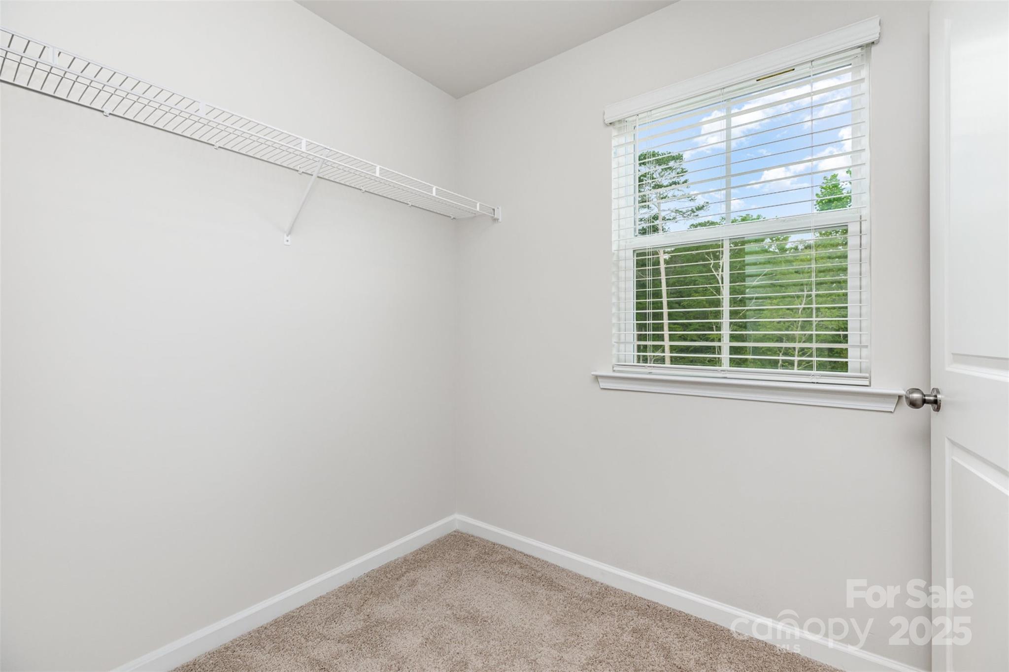 2039 Sadler Woods Lane — Charlotte