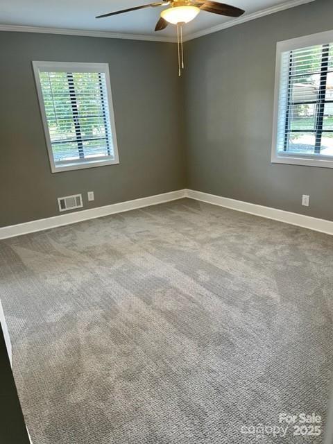 3217 Celanese Road — Rock Hill