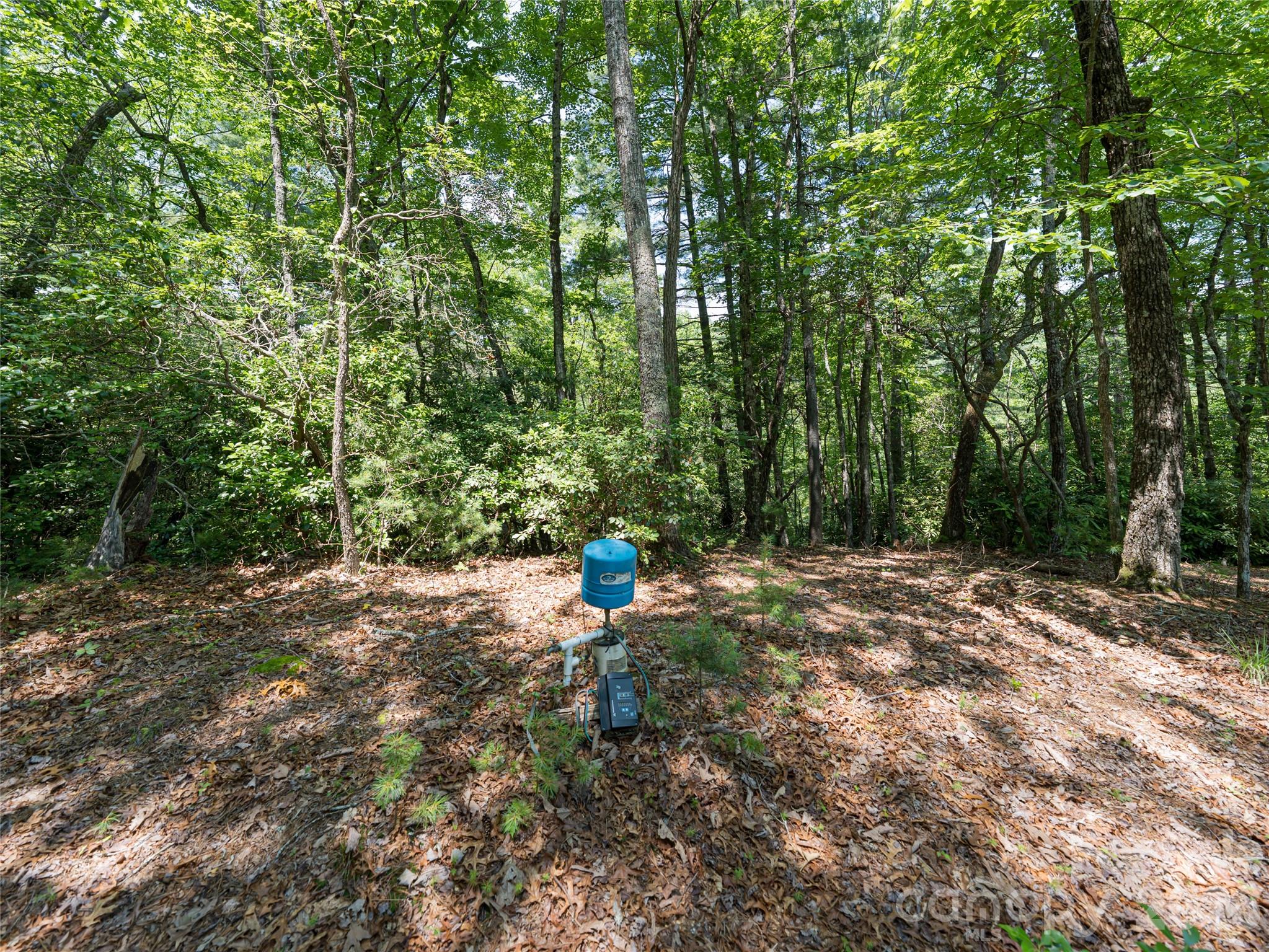 1000 Sutton Creek Road — Pisgah Forest