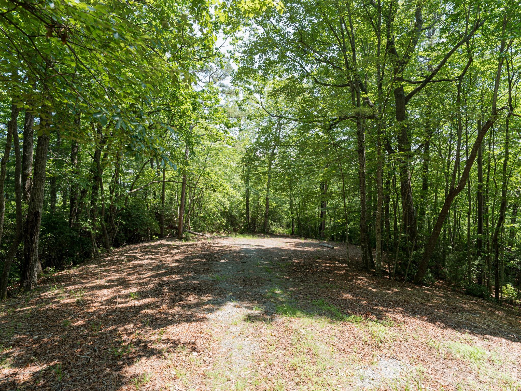 1000 Sutton Creek Road — Pisgah Forest
