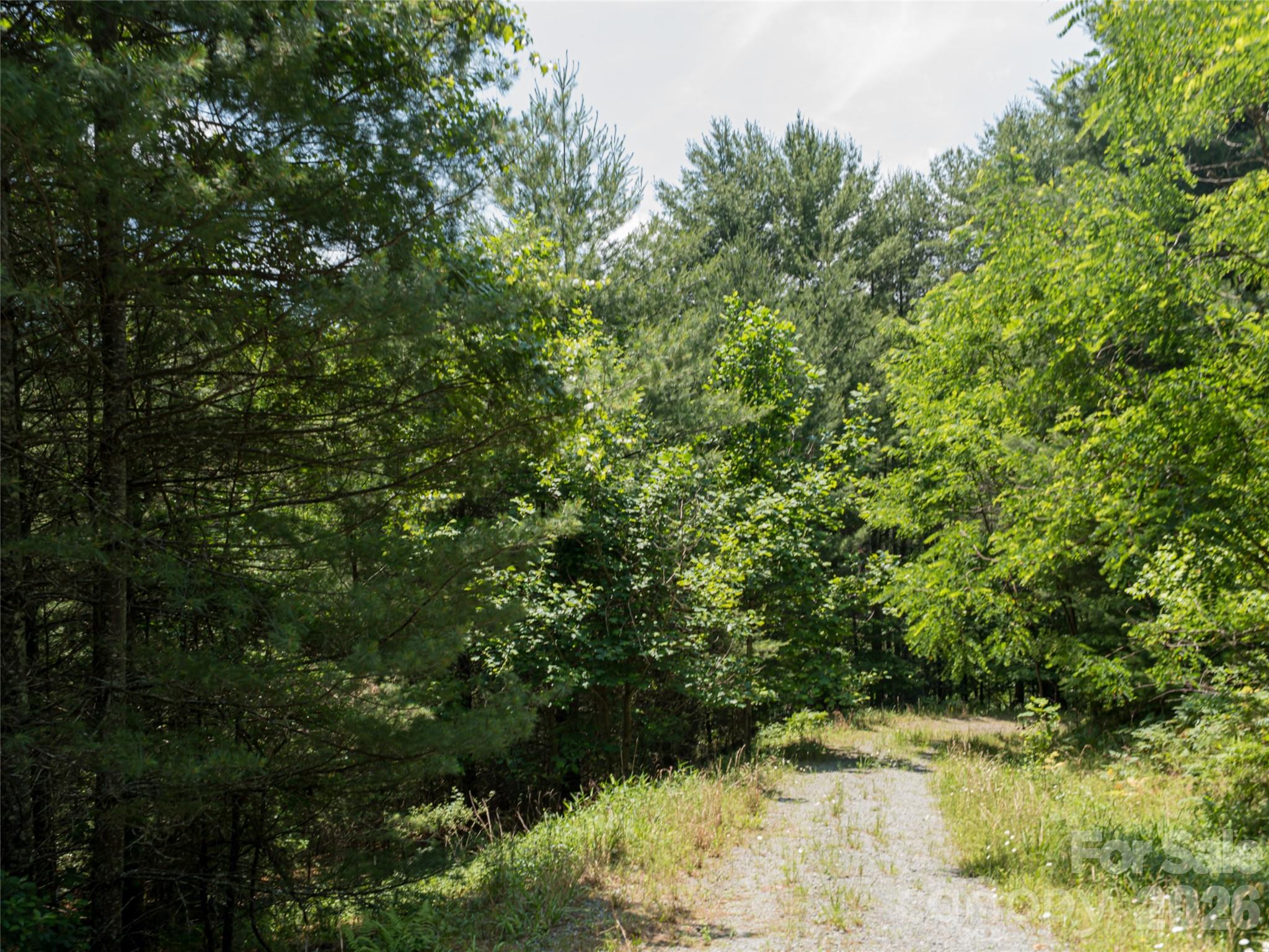 1000 Sutton Creek Road — Pisgah Forest