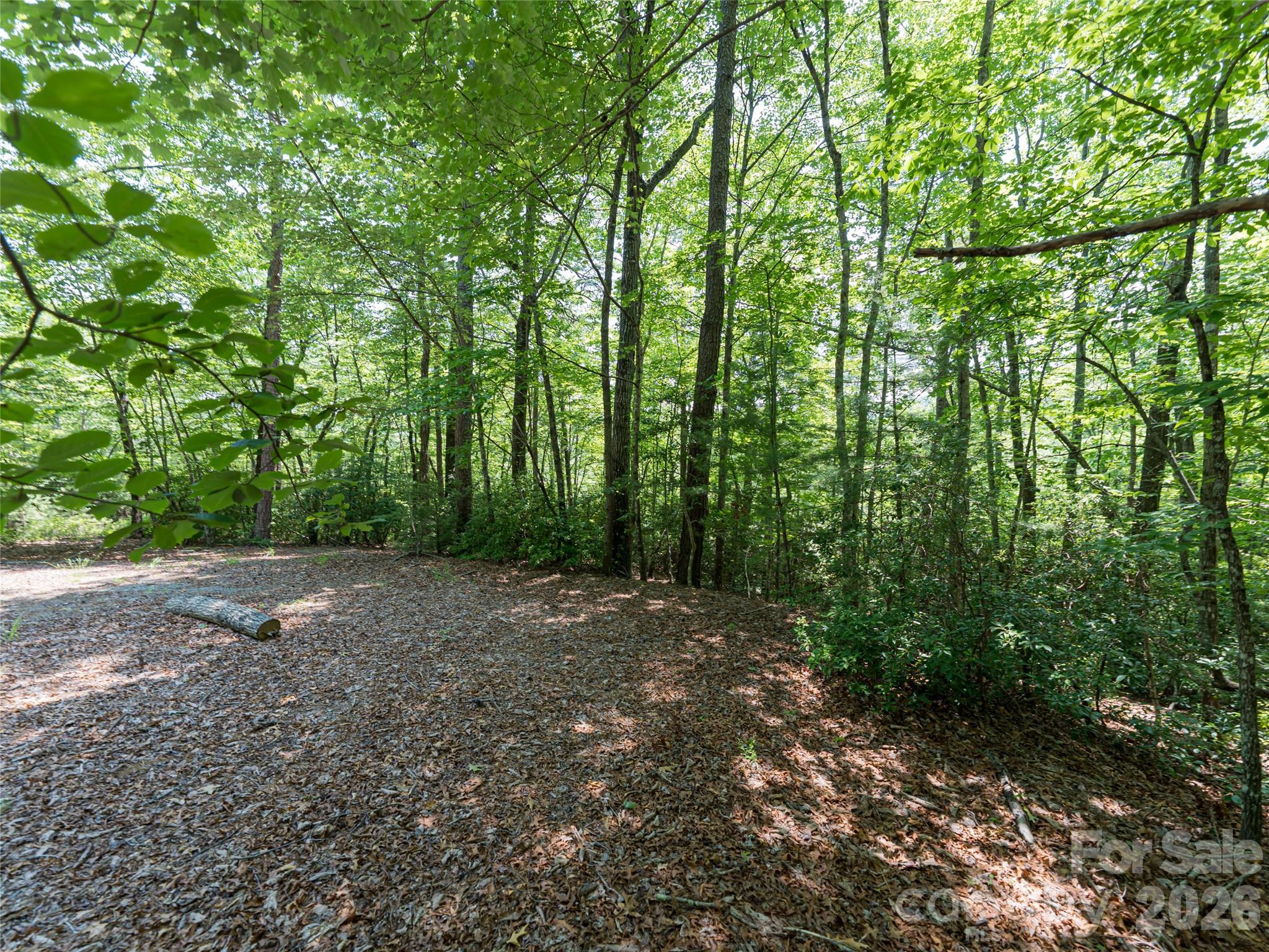 1000 Sutton Creek Road — Pisgah Forest
