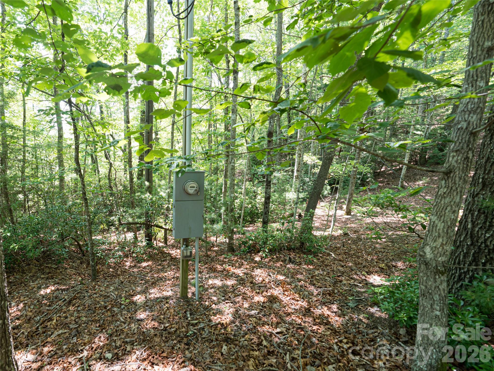 1000 Sutton Creek Road — Pisgah Forest