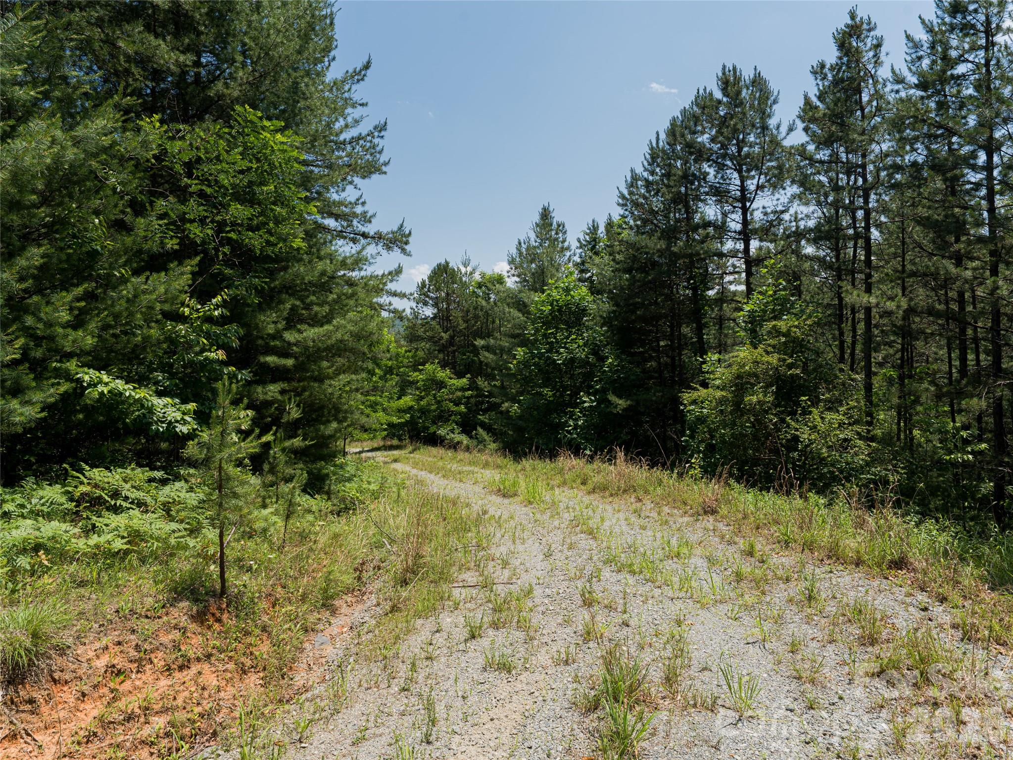 1000 Sutton Creek Road — Pisgah Forest