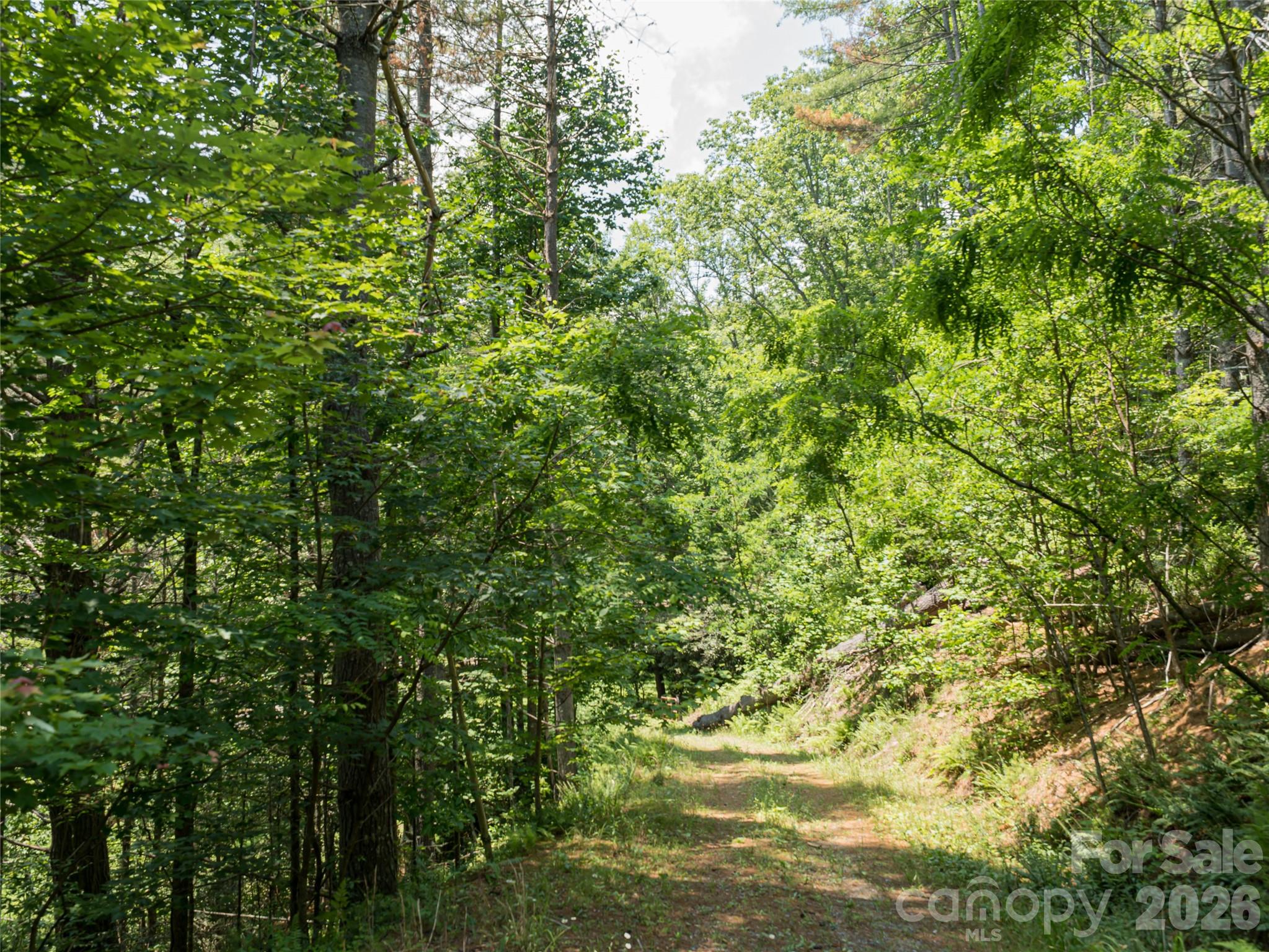 1000 Sutton Creek Road — Pisgah Forest