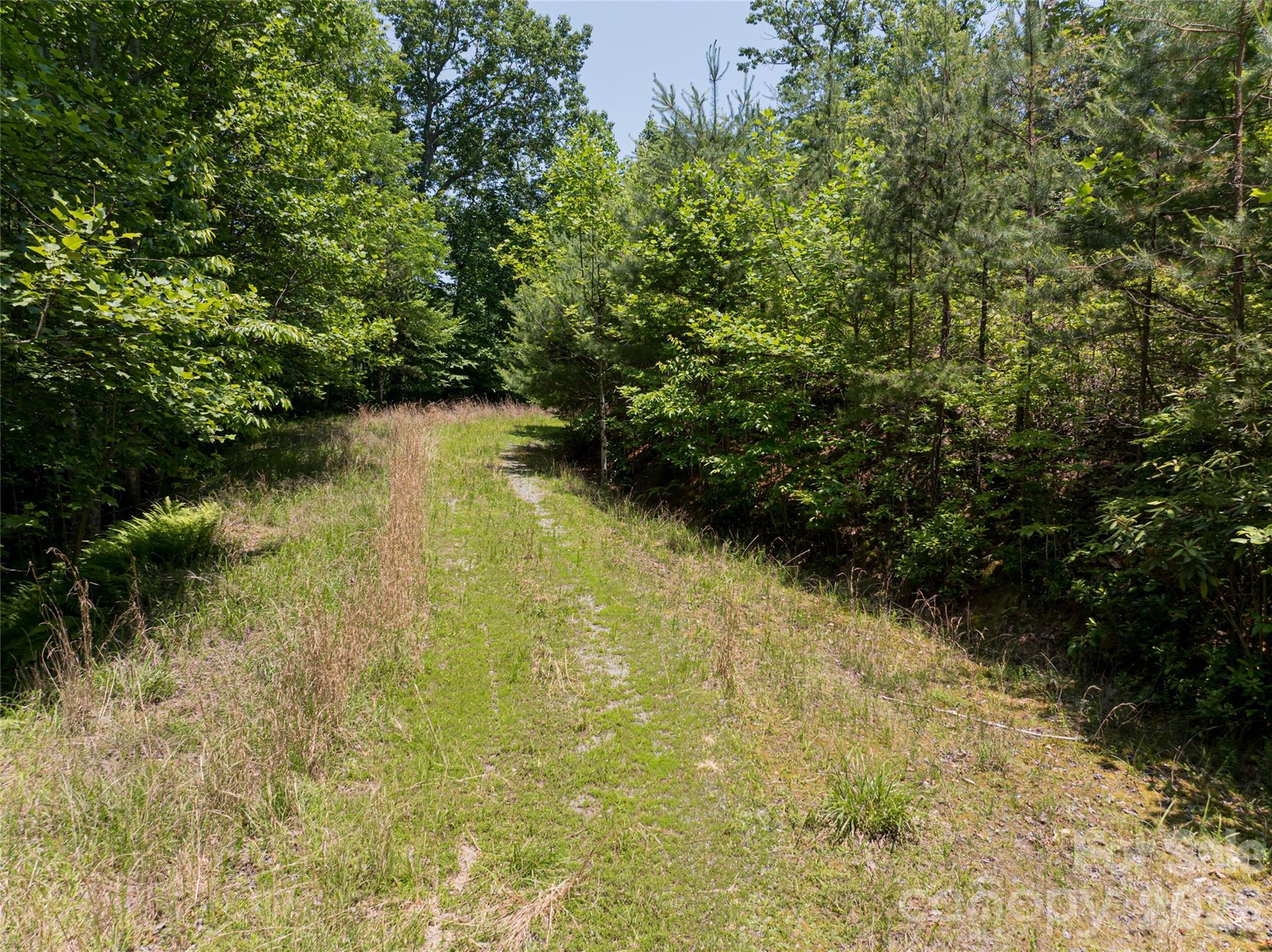 1000 Sutton Creek Road — Pisgah Forest