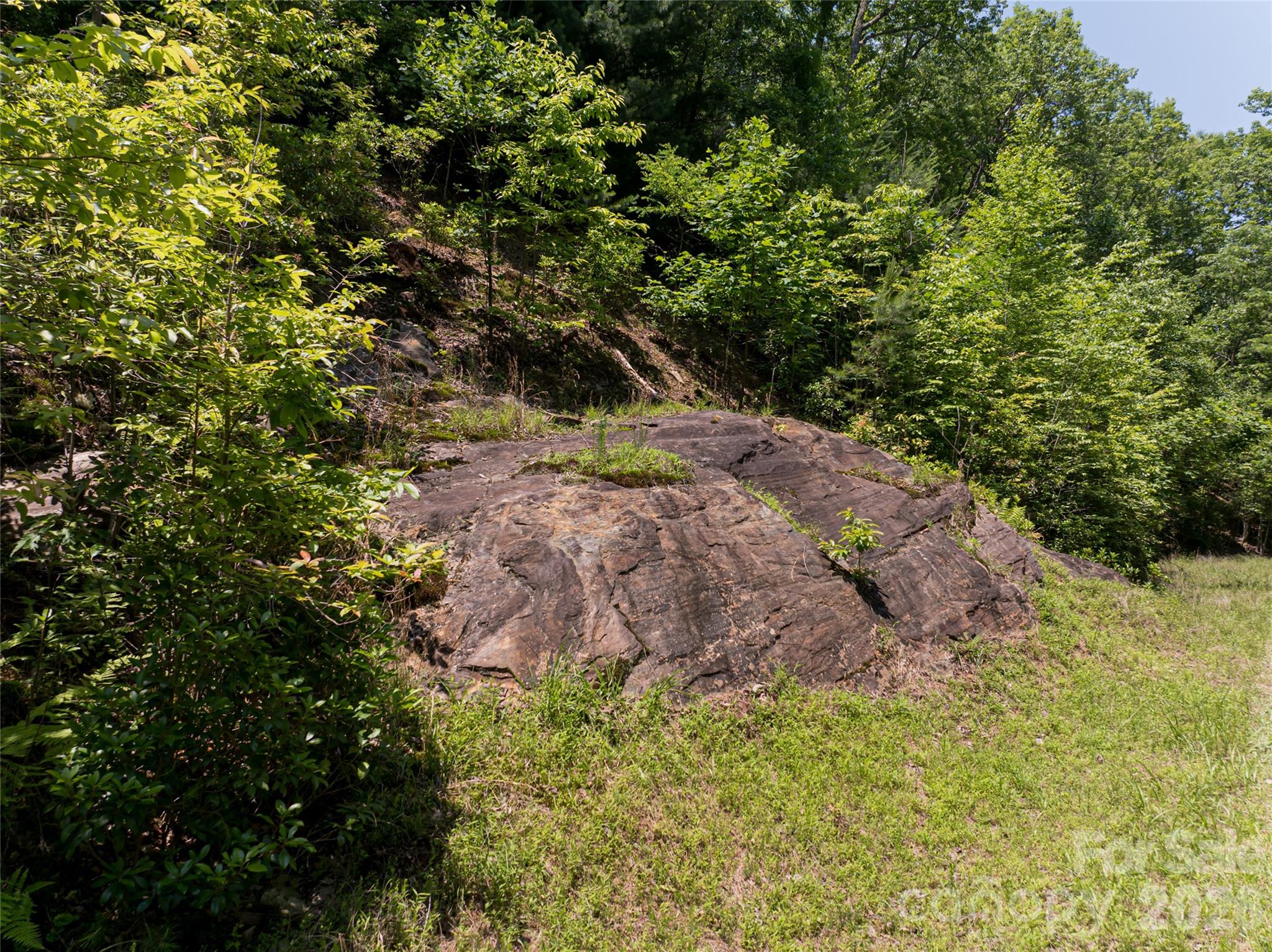 1000 Sutton Creek Road — Pisgah Forest