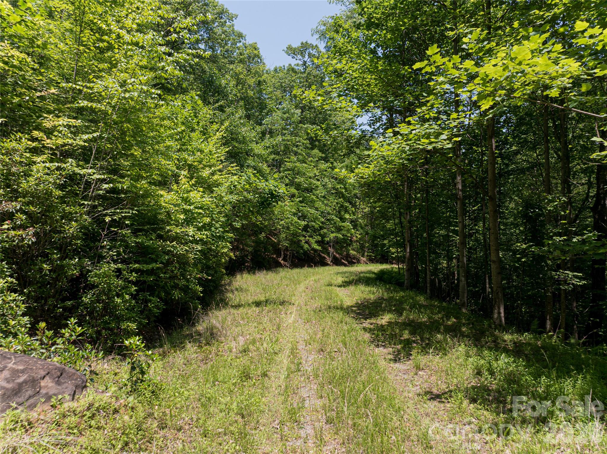 1000 Sutton Creek Road — Pisgah Forest