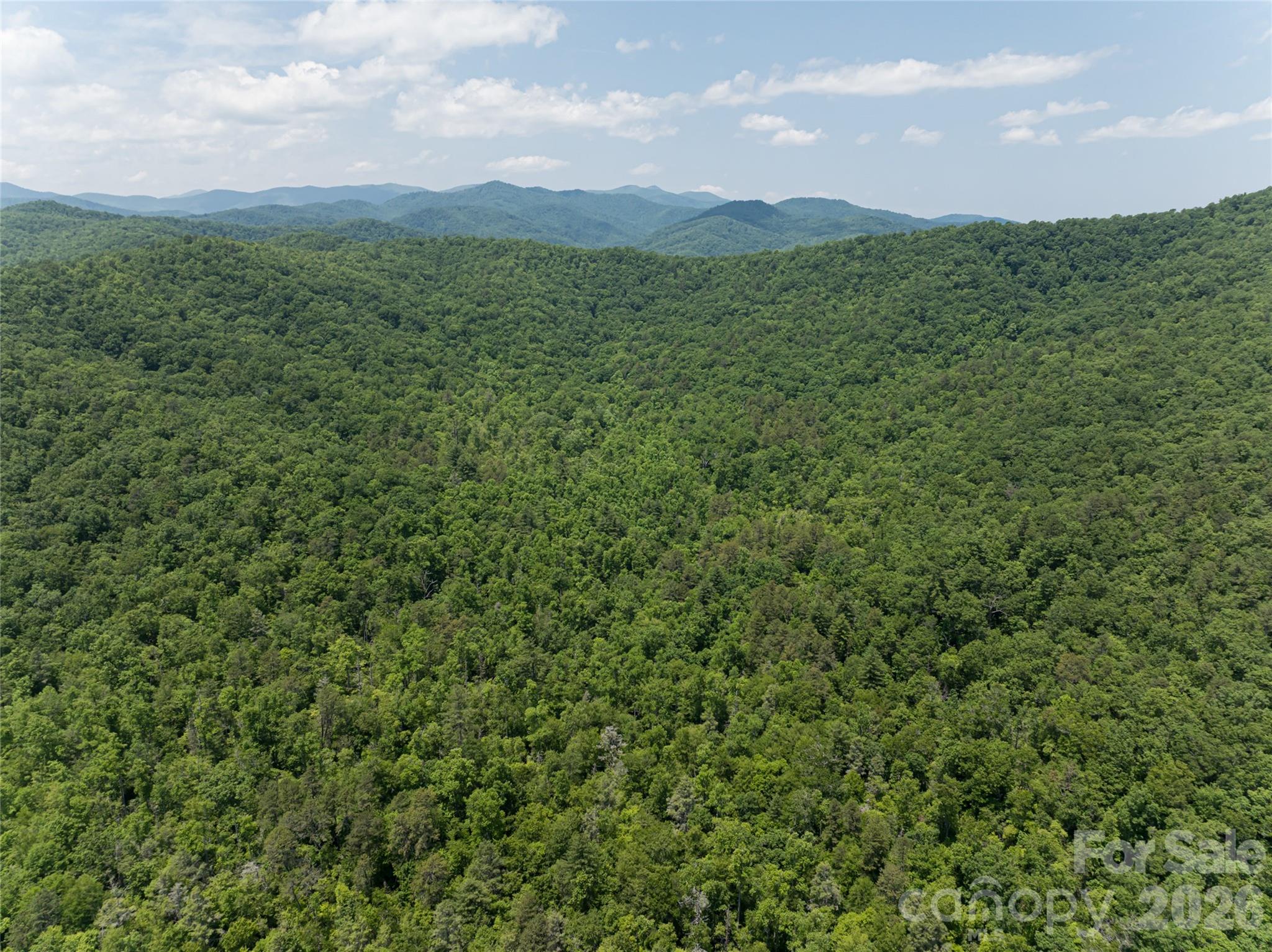 1000 Sutton Creek Road — Pisgah Forest