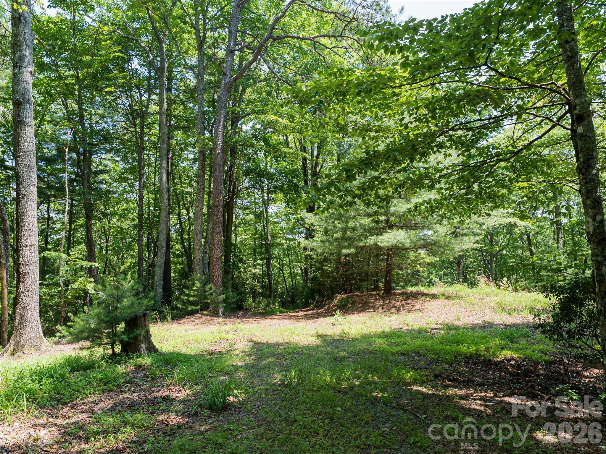 1000 Sutton Creek Road — Pisgah Forest