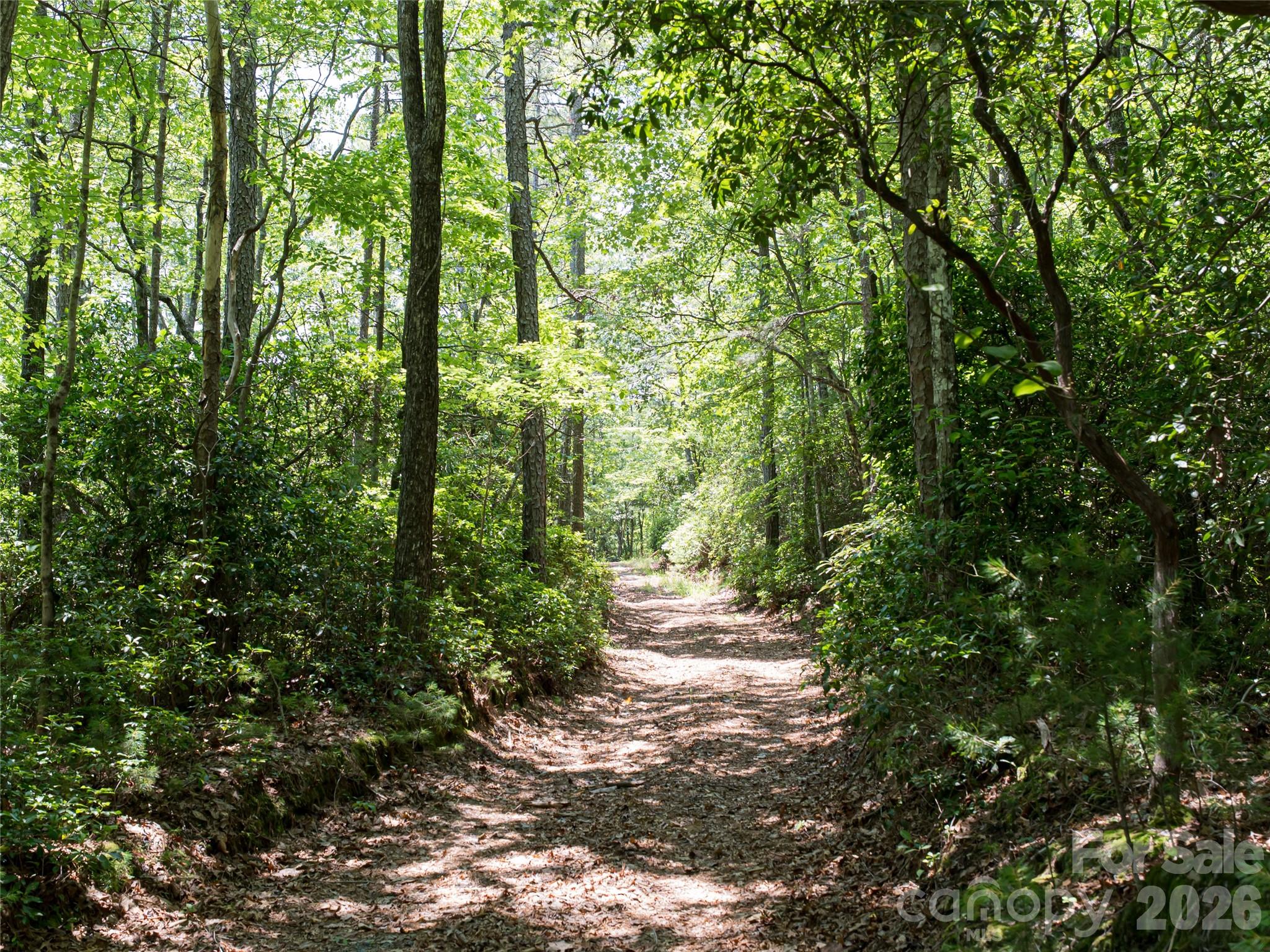 1000 Sutton Creek Road — Pisgah Forest