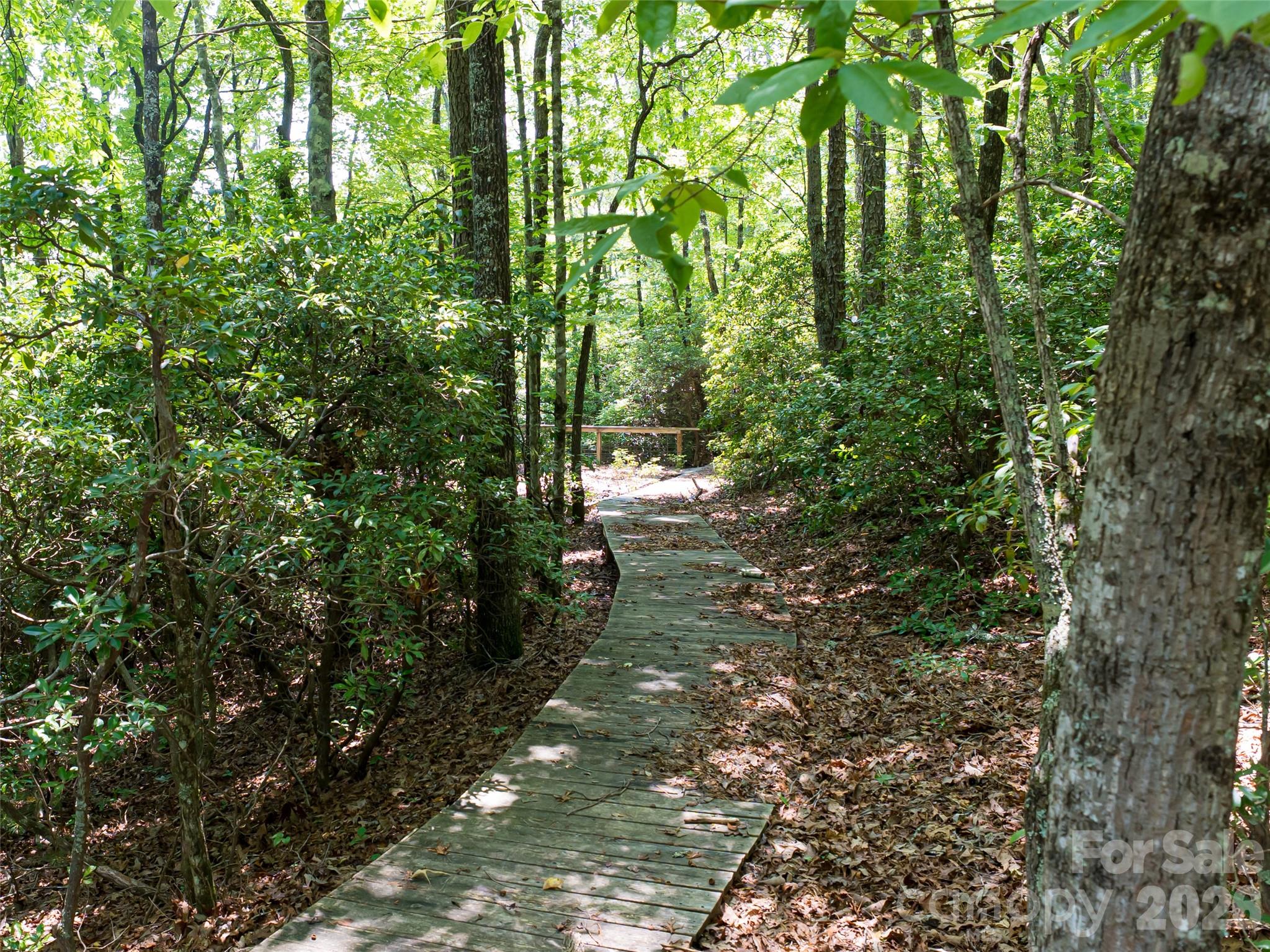 1000 Sutton Creek Road — Pisgah Forest