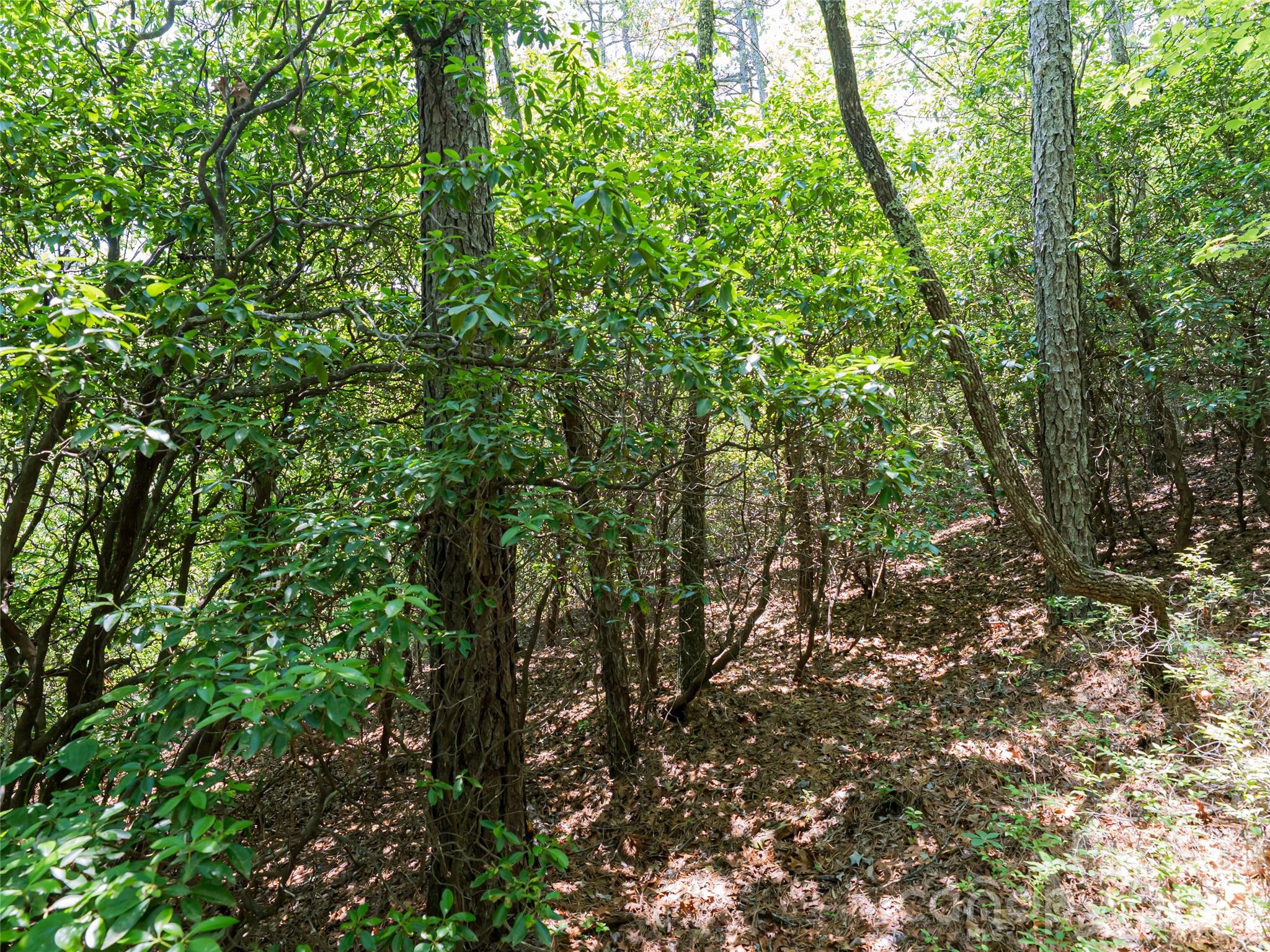 1000 Sutton Creek Road — Pisgah Forest