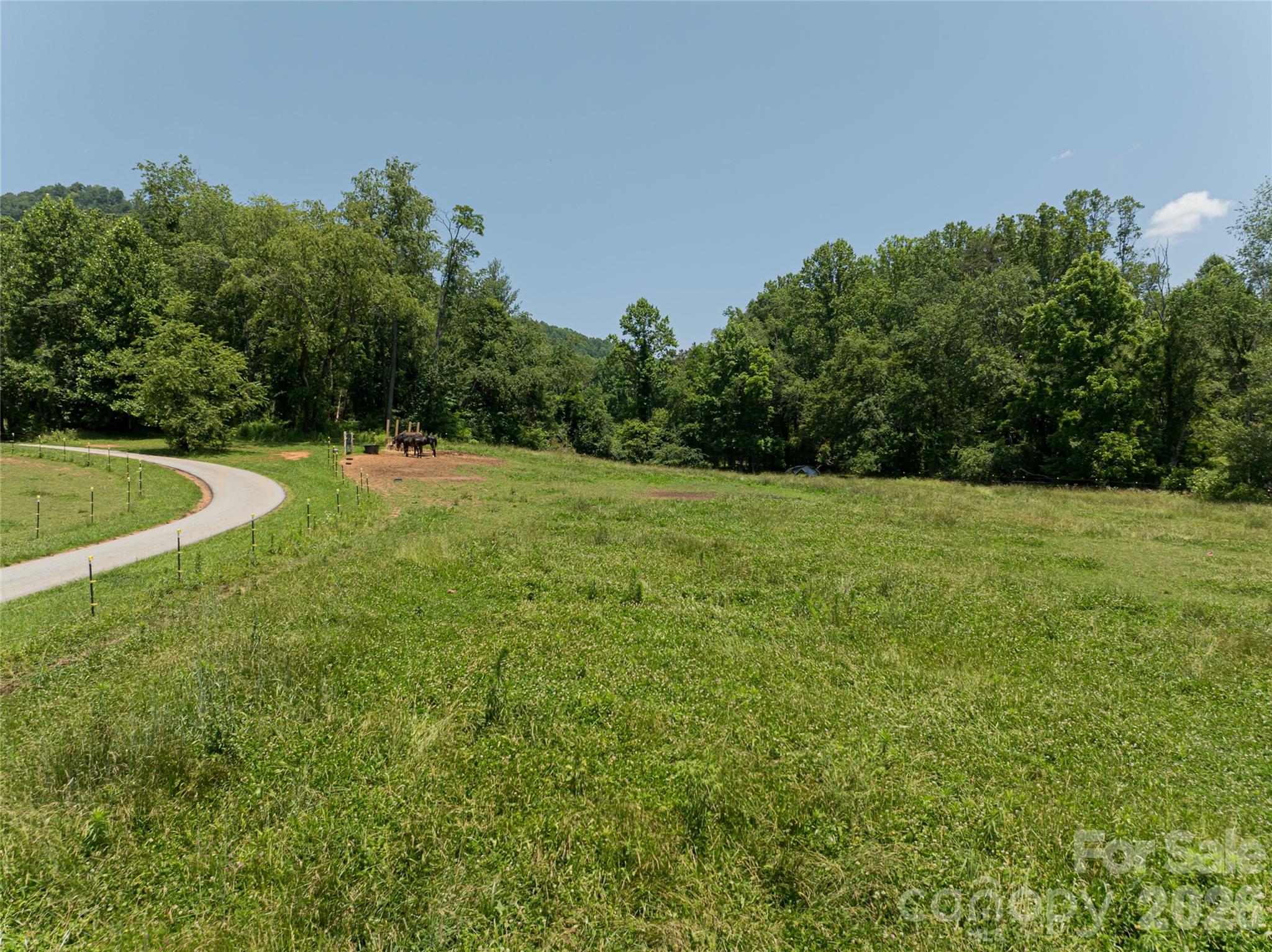 173 Avery Creek Road — Arden