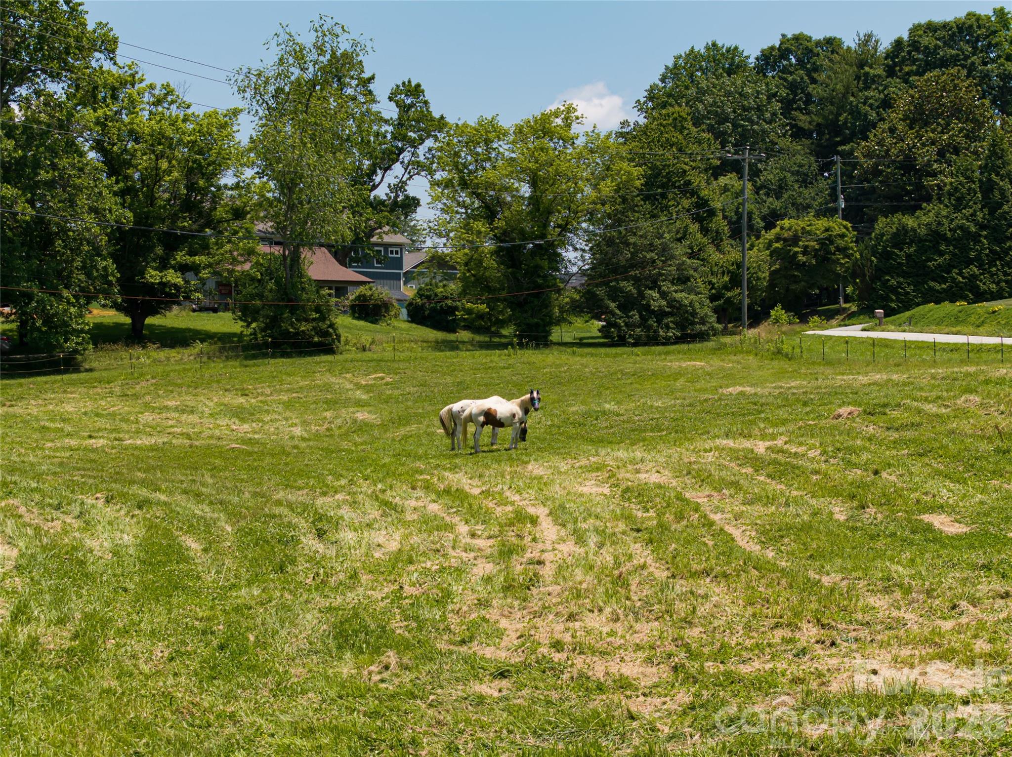 173 Avery Creek Road — Arden