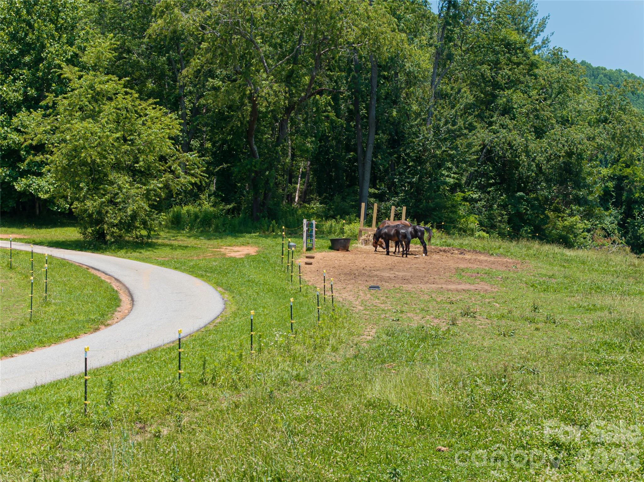 173 Avery Creek Road — Arden