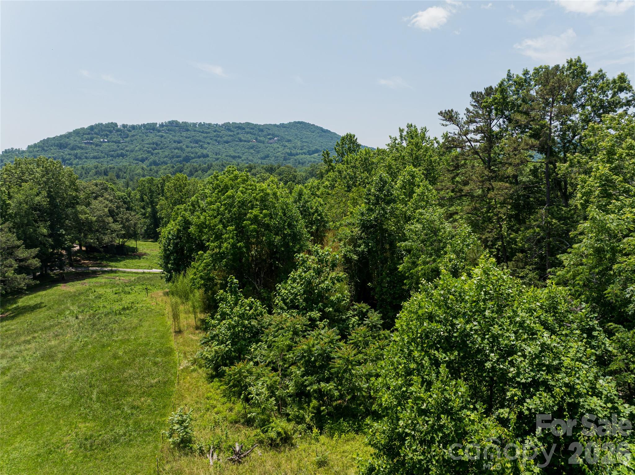 173 Avery Creek Road — Arden