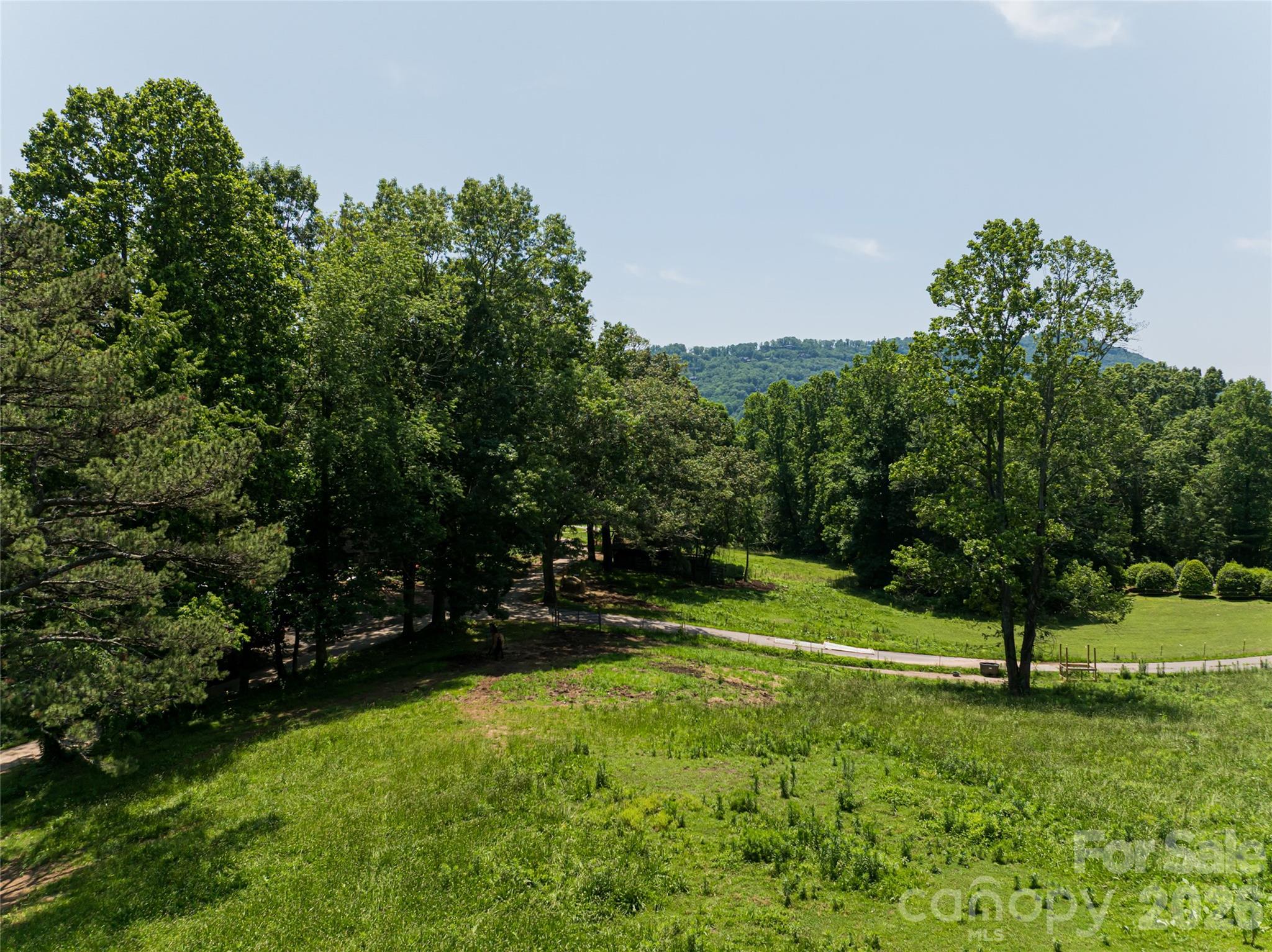 173 Avery Creek Road — Arden