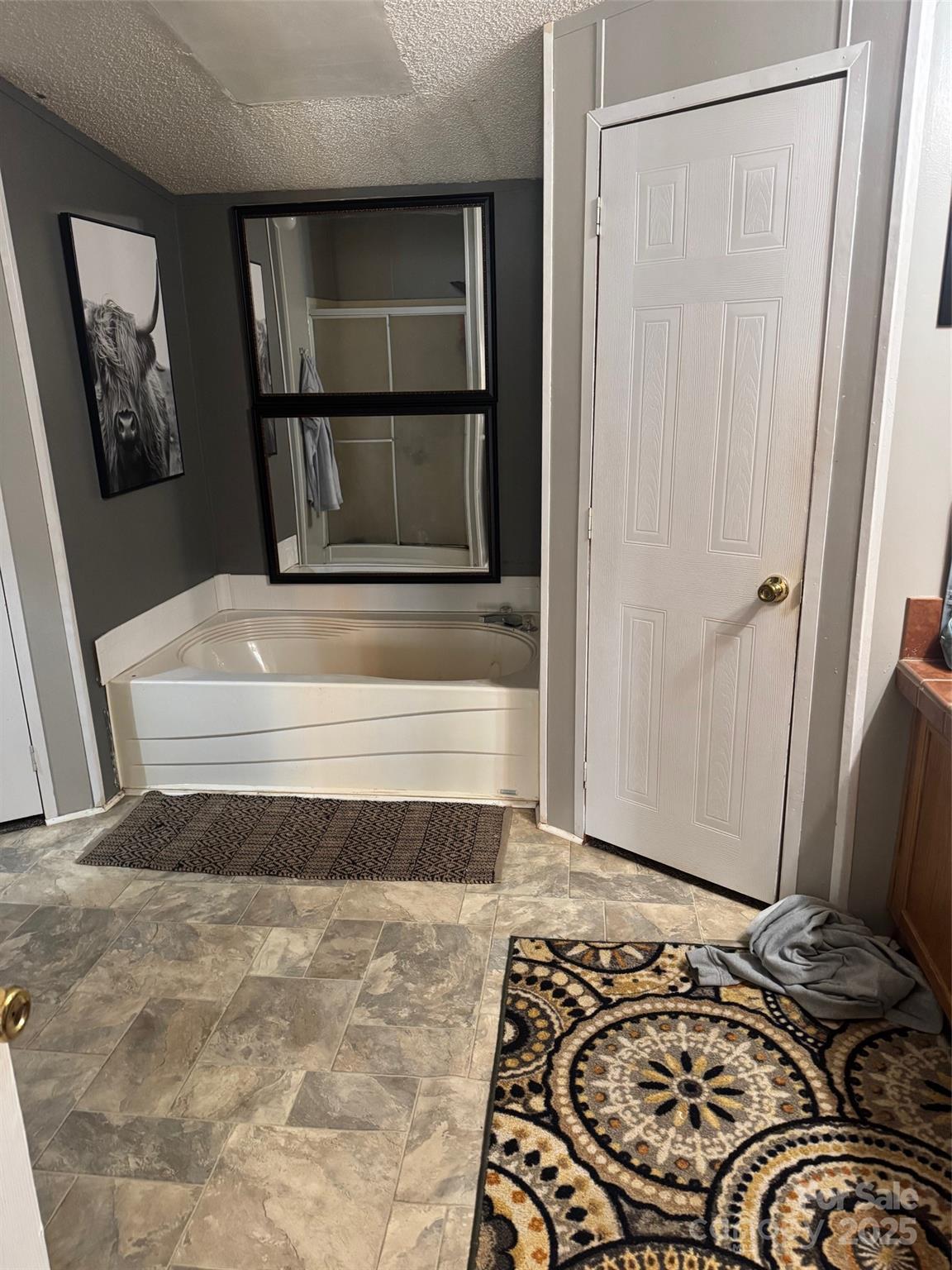 456 Cornelius Road — Mooresville