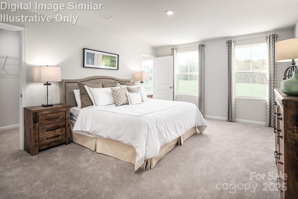 5228 McCallum Meadows Drive — Charlotte