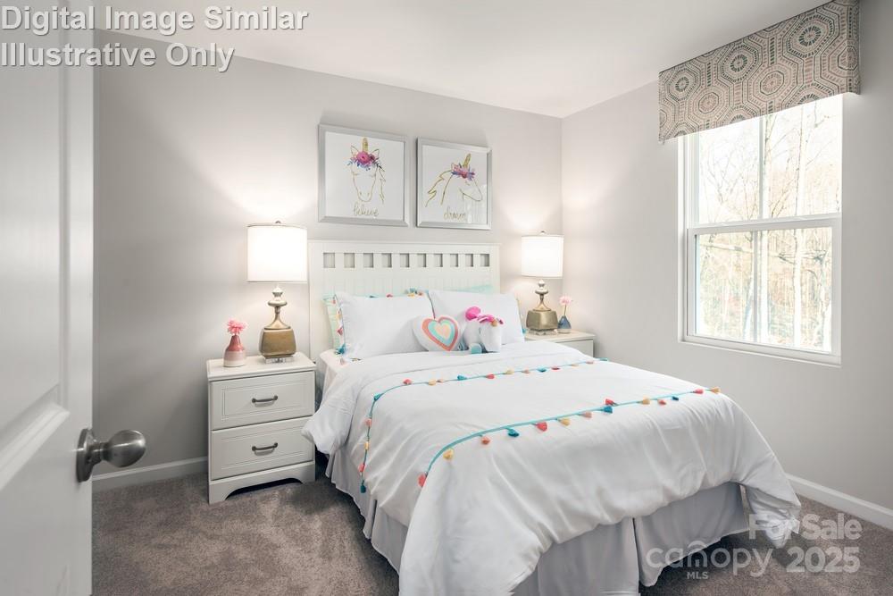 5228 McCallum Meadows Drive — Charlotte