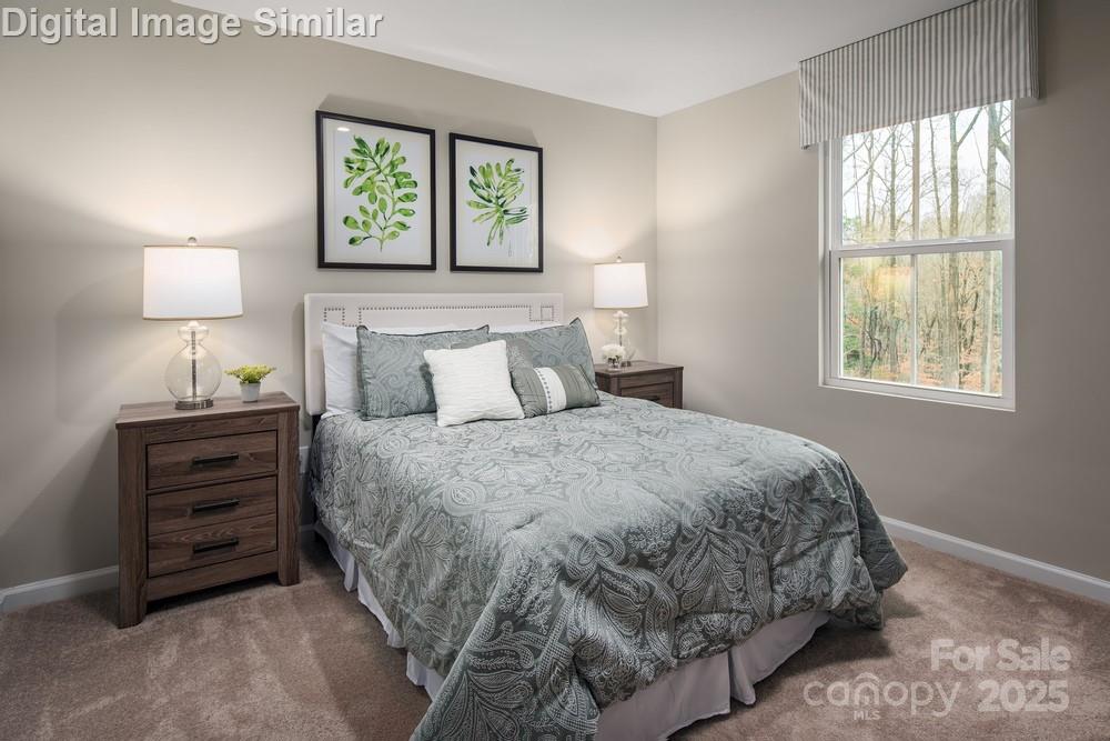 5228 McCallum Meadows Drive — Charlotte
