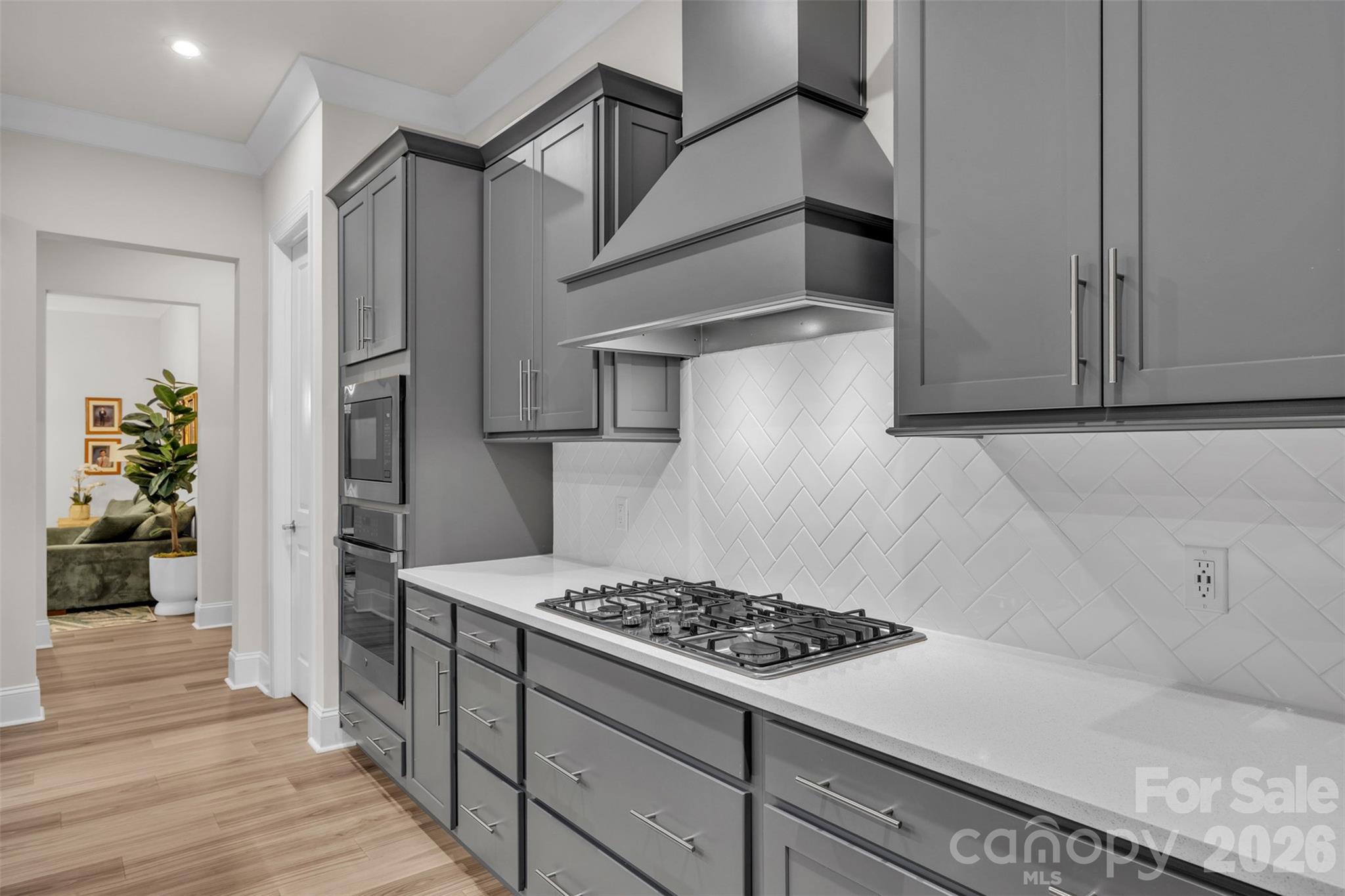 513 Meadow Ridge Drive — Belmont