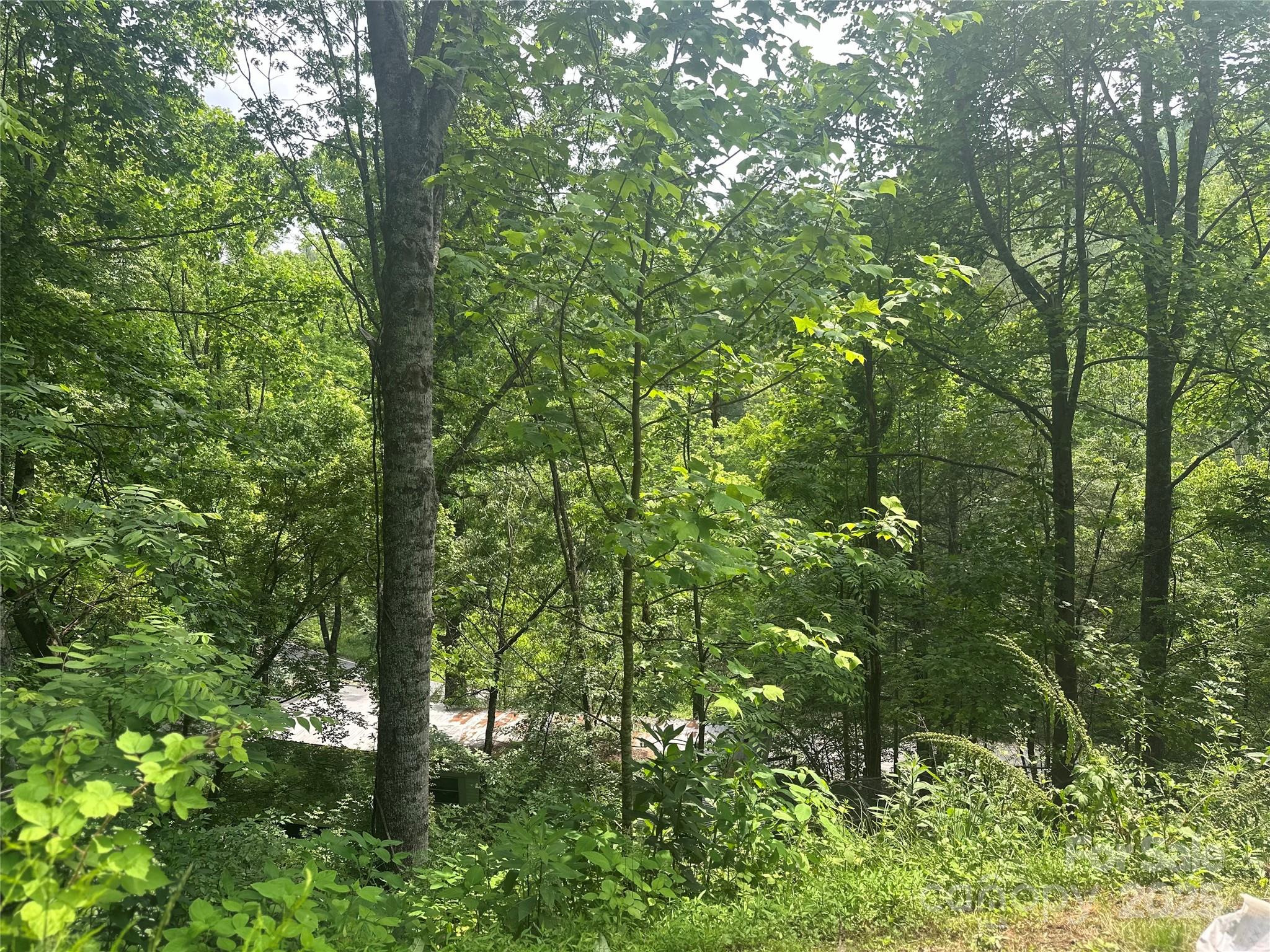 193 Green Cove Road — Bakersville