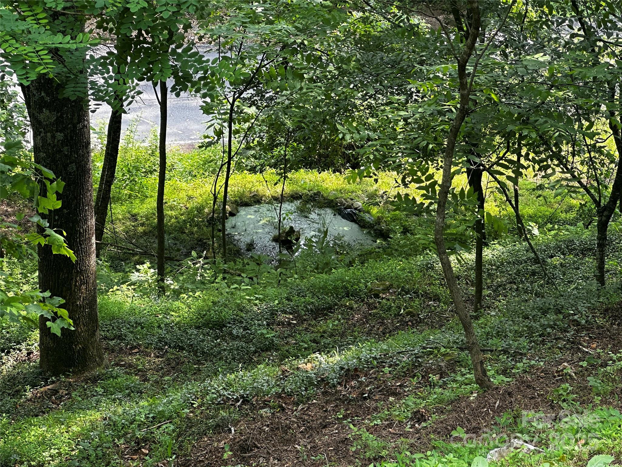 193 Green Cove Road — Bakersville