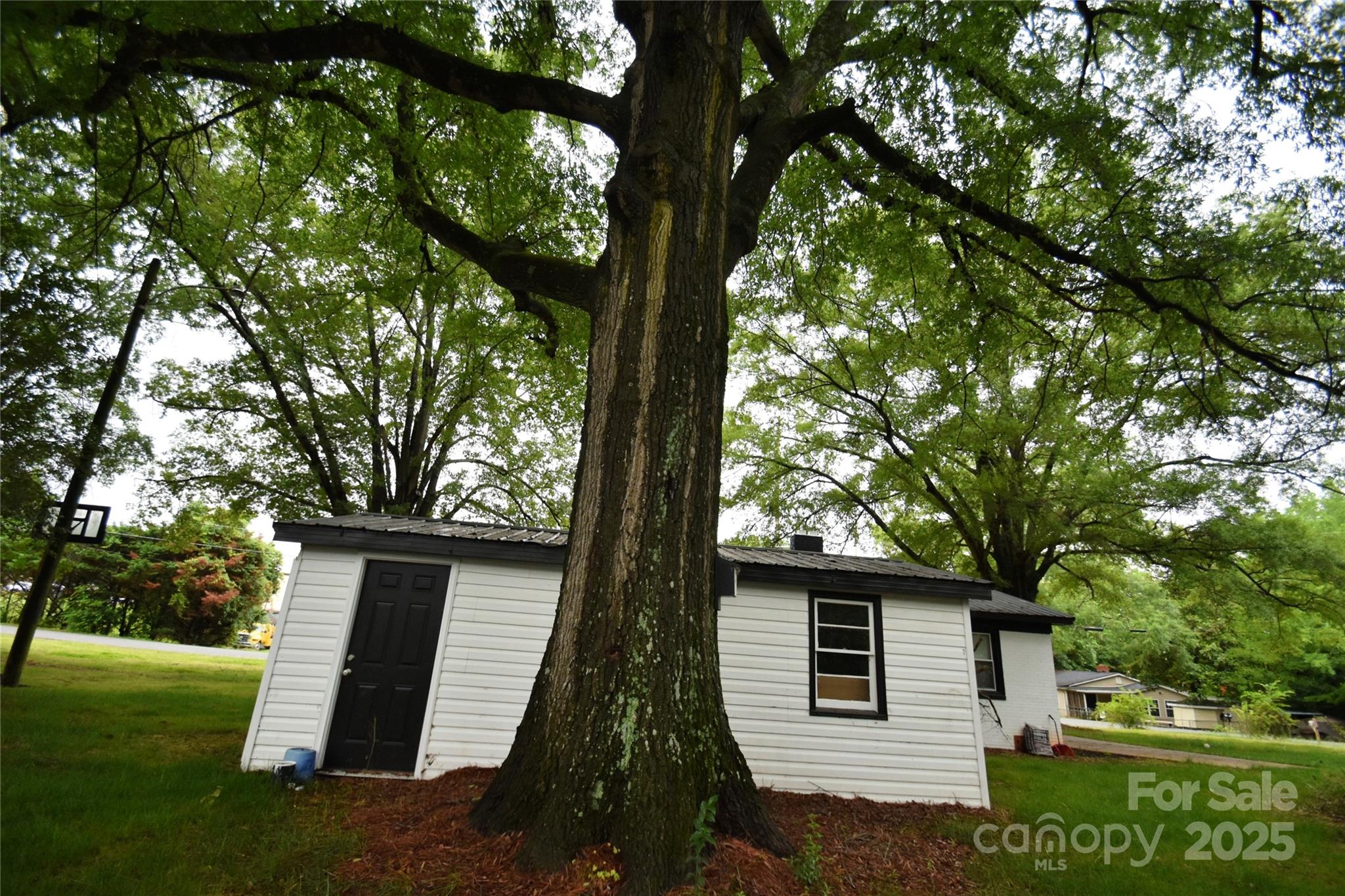 706 Mcintyre Street — Monroe