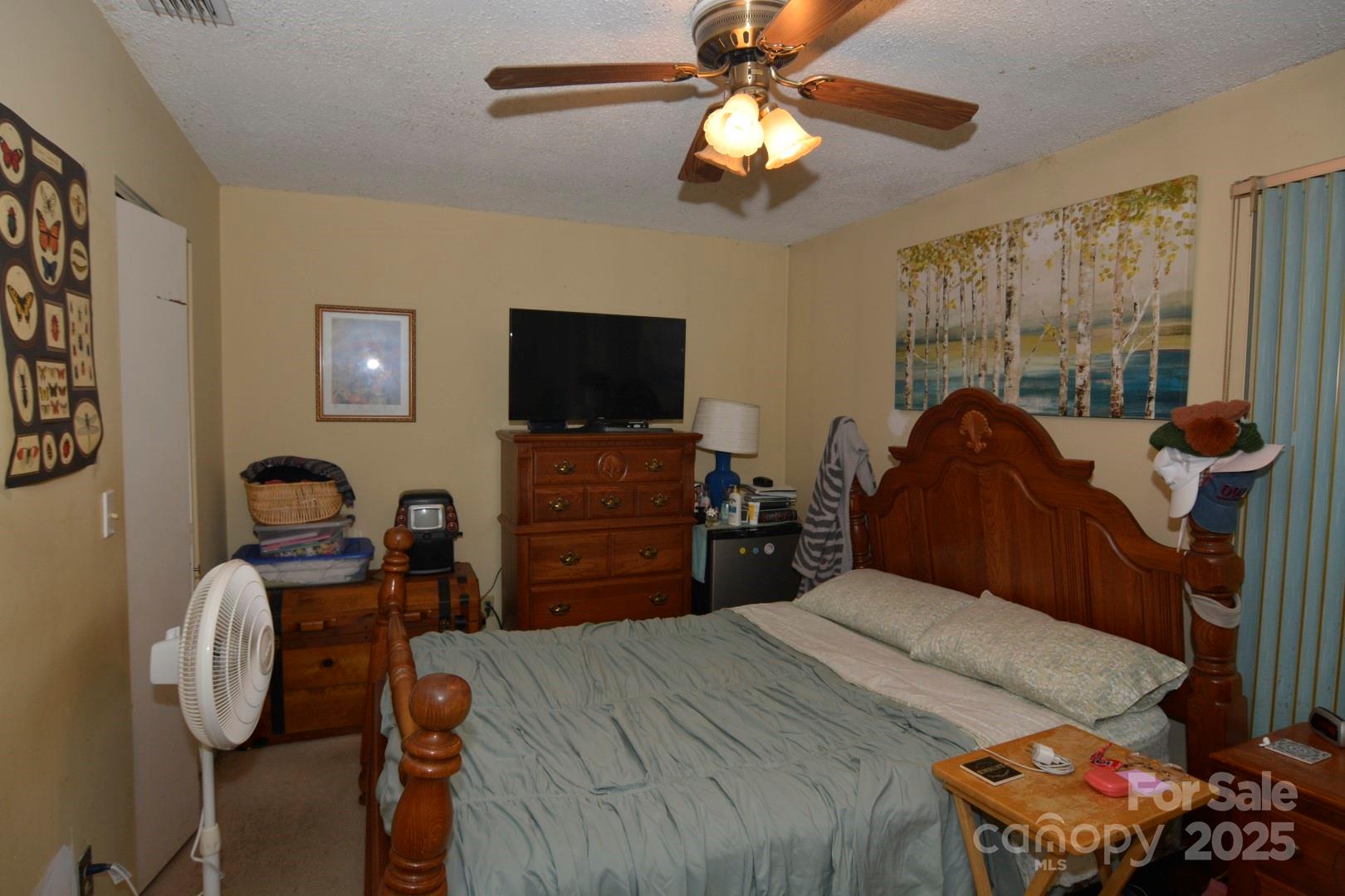 141 Colony Drive — Arden