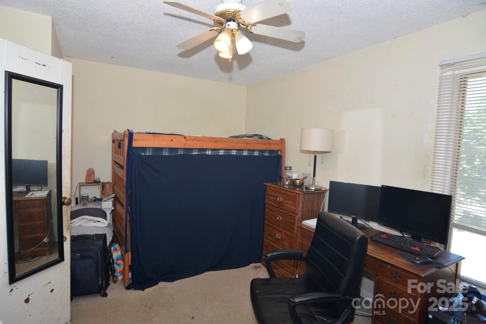 141 Colony Drive — Arden