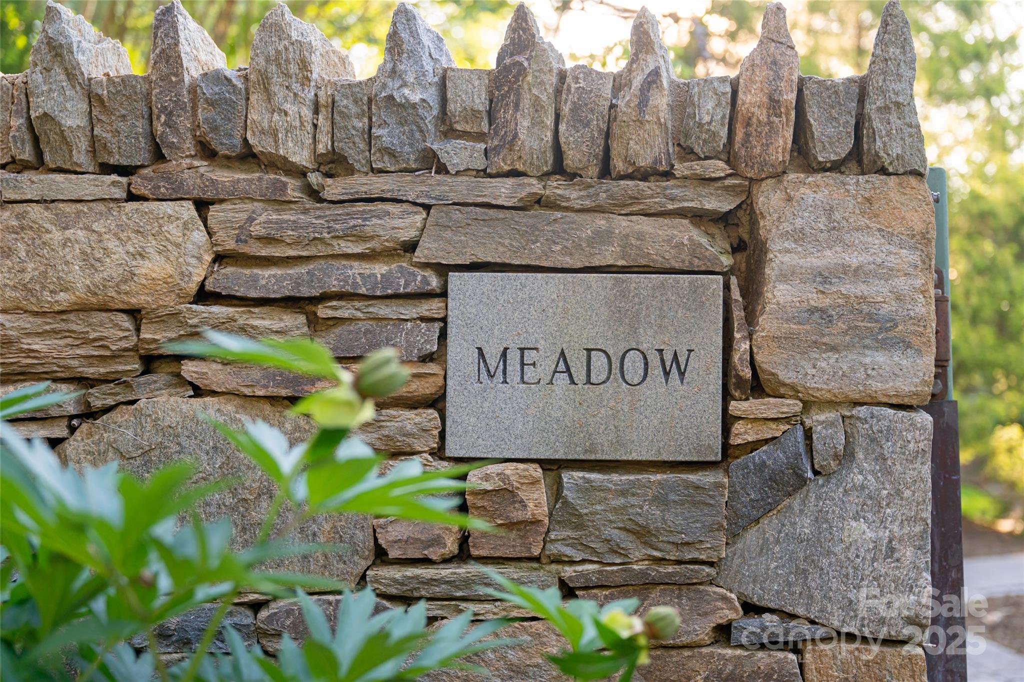 268 Holly Arbor Lane — Asheville