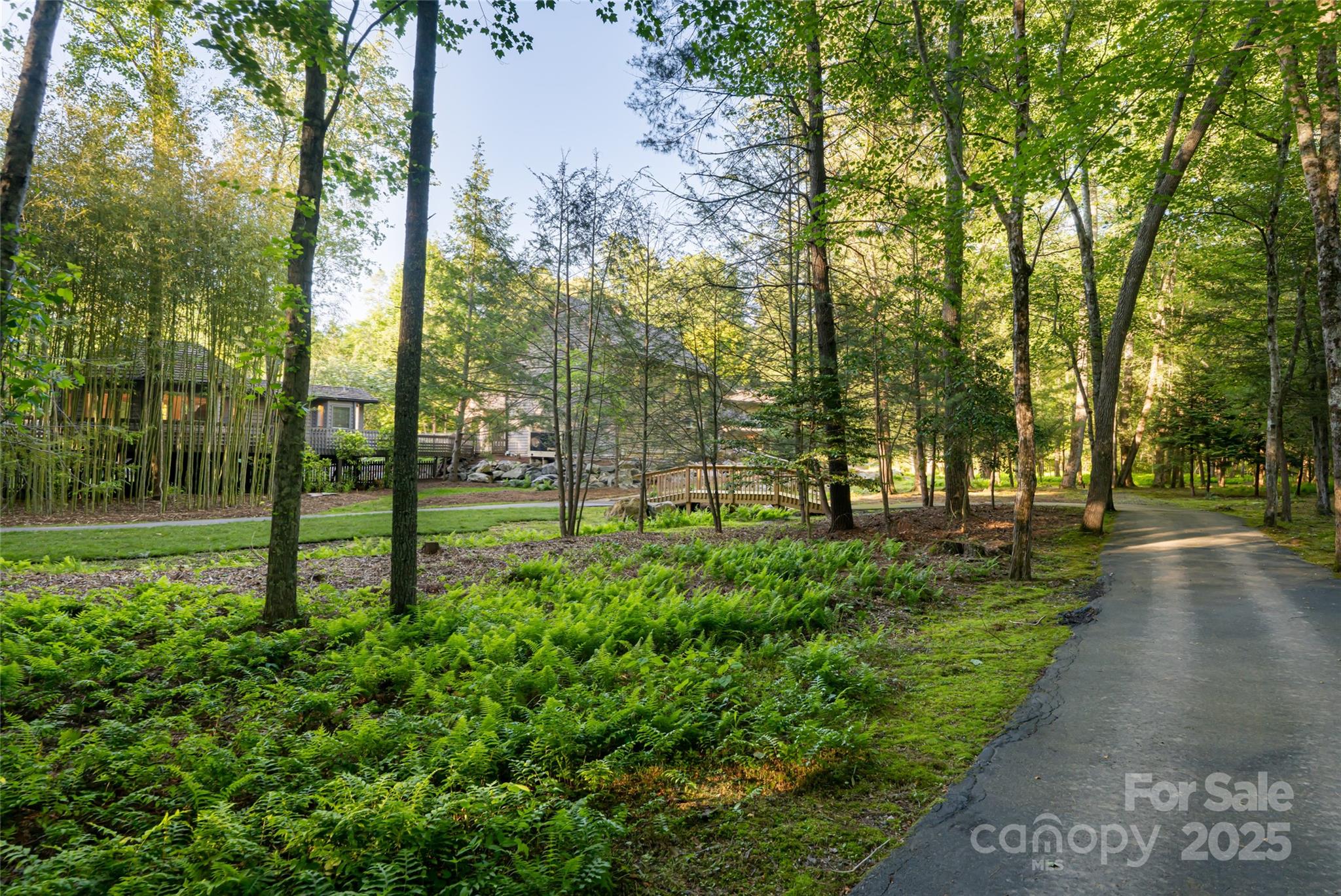 268 Holly Arbor Lane — Asheville