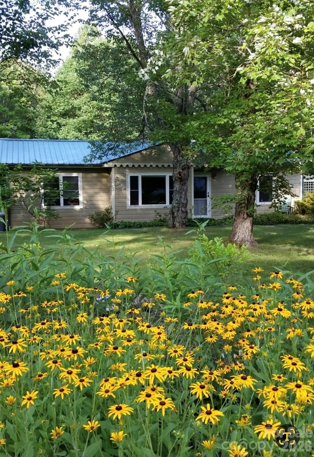 75 Cisco Road — Asheville