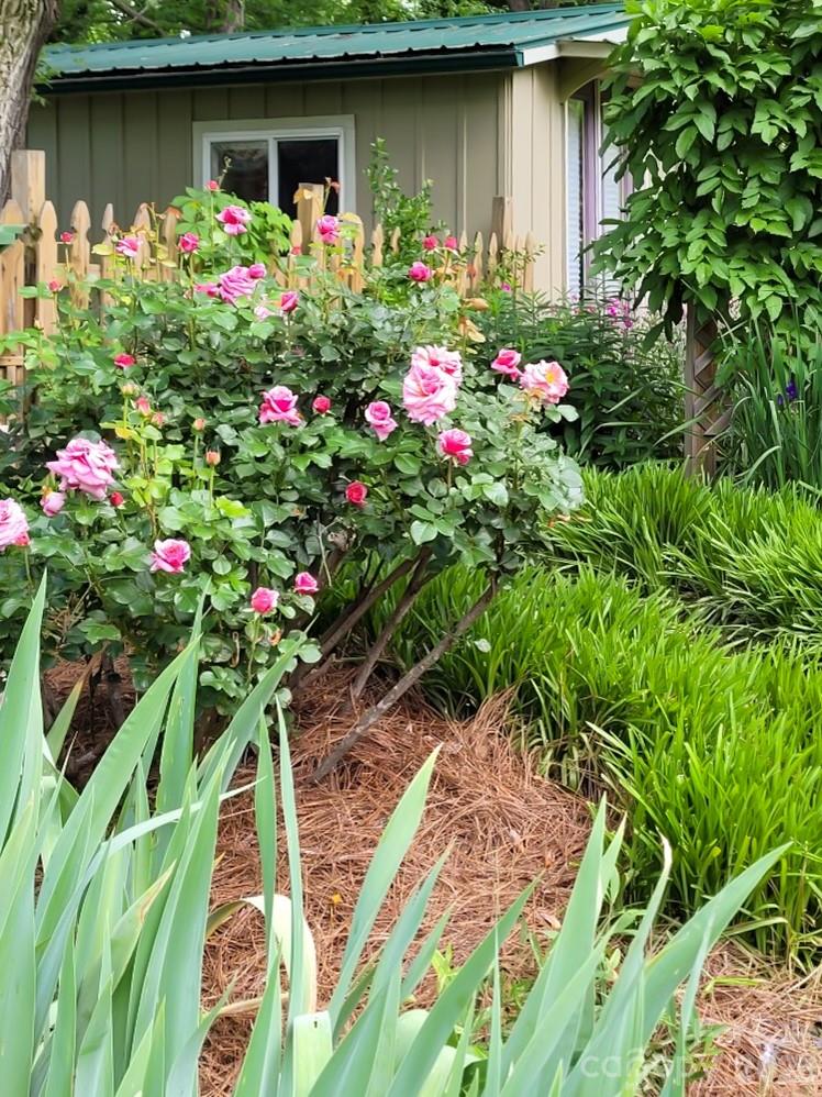 75 Cisco Road — Asheville